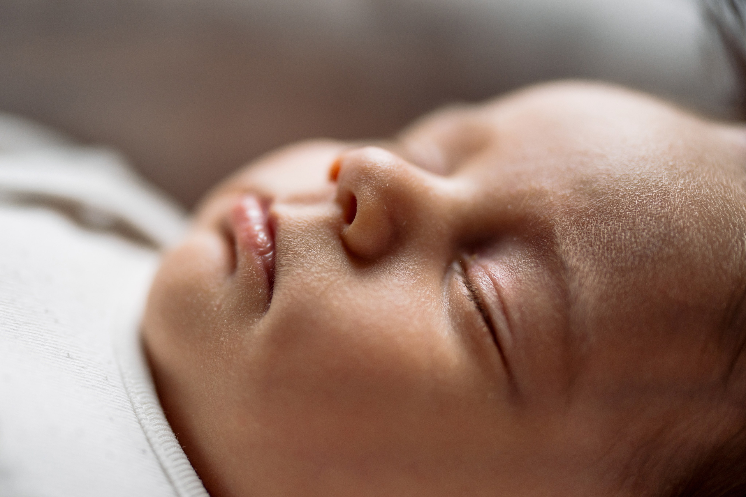 Newborn & Pet Lifestyle Photography – Cute & Heartwarming. Alisa Tant — Family and newborn photographer Bucks County, Montgomery county, Philadelphia, NJ