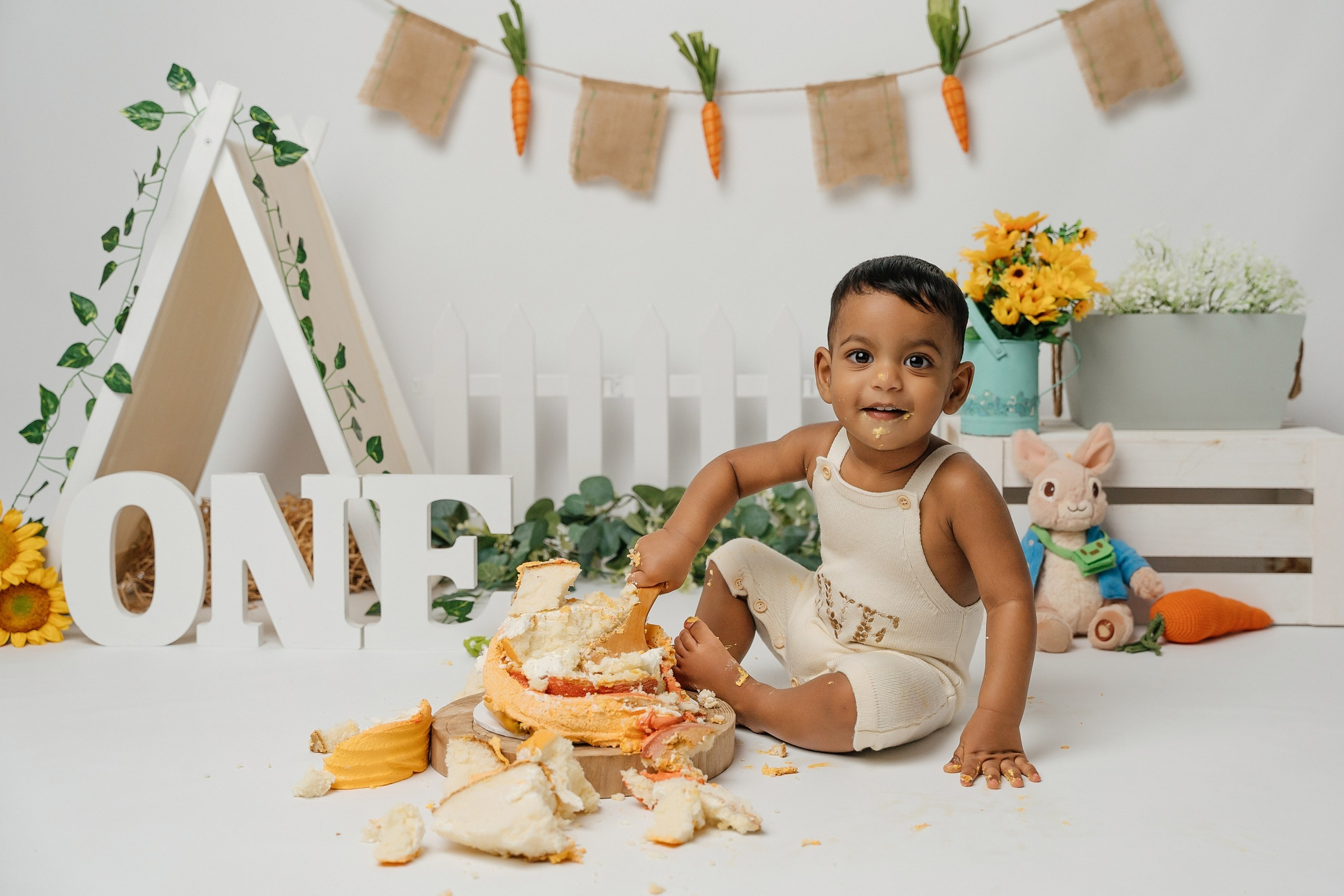 Peter rabbit cake smash session. Newborn and family photographer. Hills District. Sydney