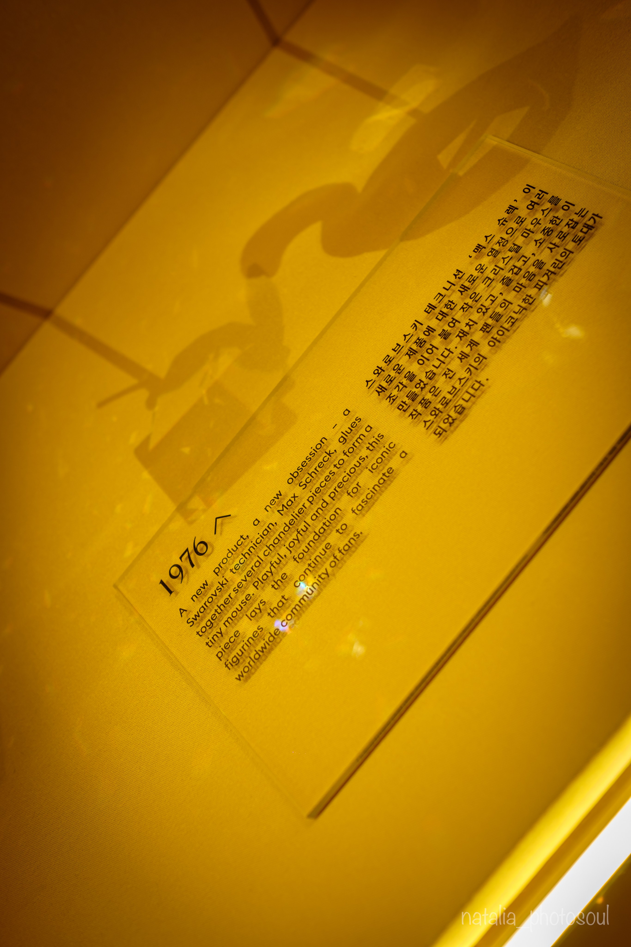 SWAROVSKI MASTERS OF LIGHT FROM VIENNA TO SEOUL. Photographer in Seoul Dobrokvashina Natalya