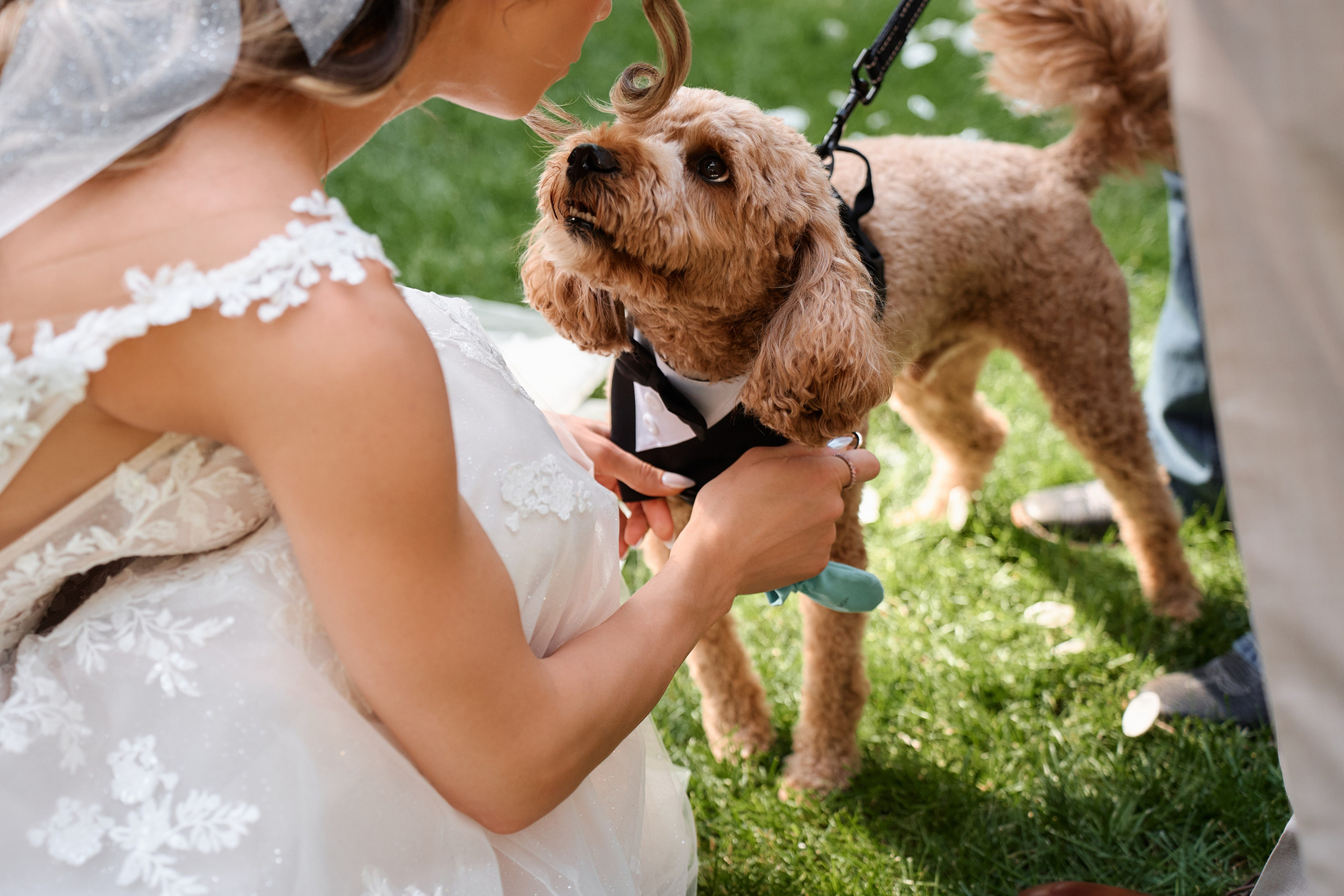 Packages & Pricing. Professional Wedding and event photographer USA New York