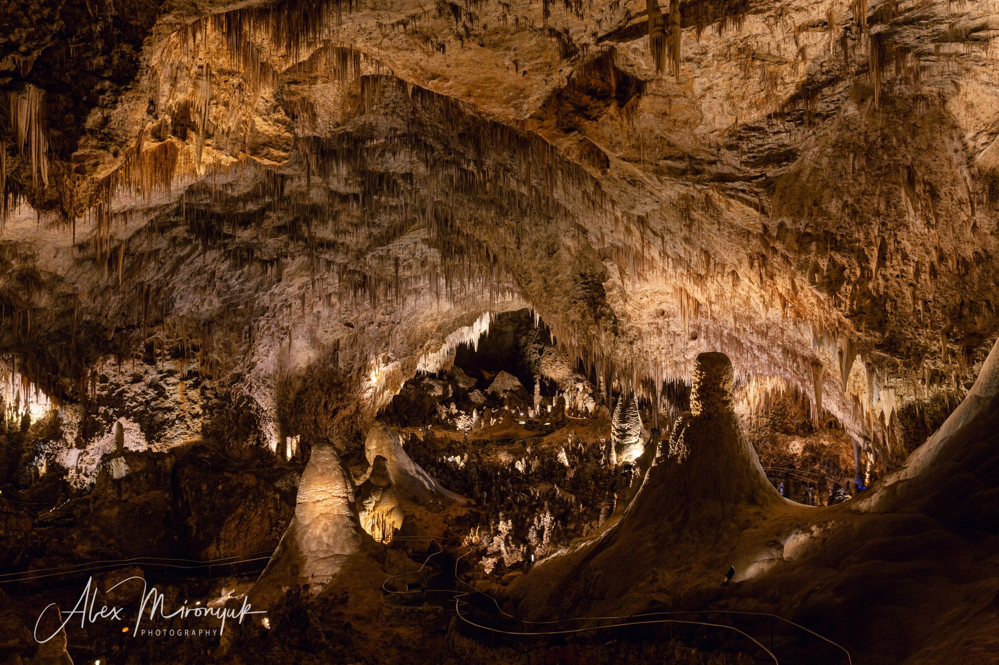 The Best of New Mexico. Pet, Senior, Landscape, portrait studio, photographer in Miami and Sou