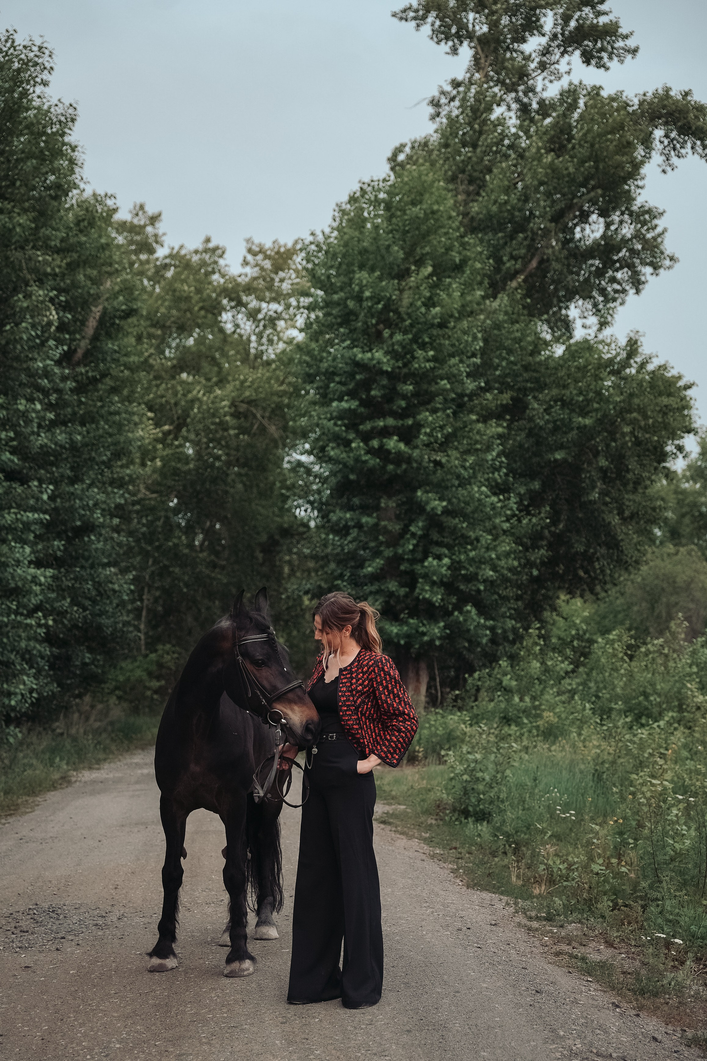 Horse & Rider Photoshoots In Florida