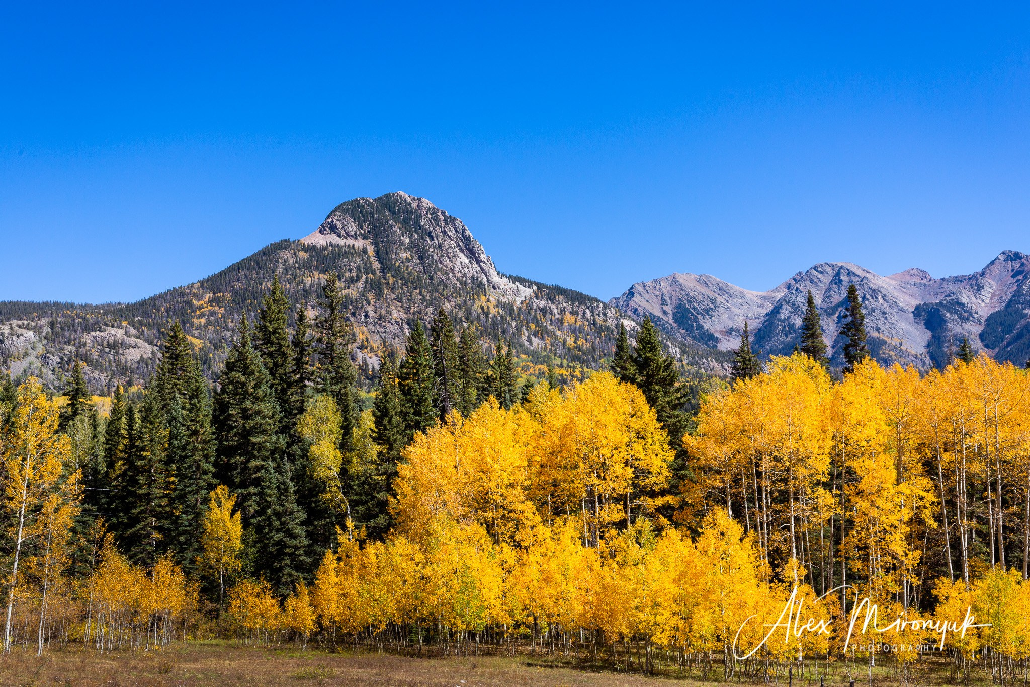 Fall Colors Of Colorado. Pet, Senior, Landscape, portrait studio, photographer in Miami and Sou