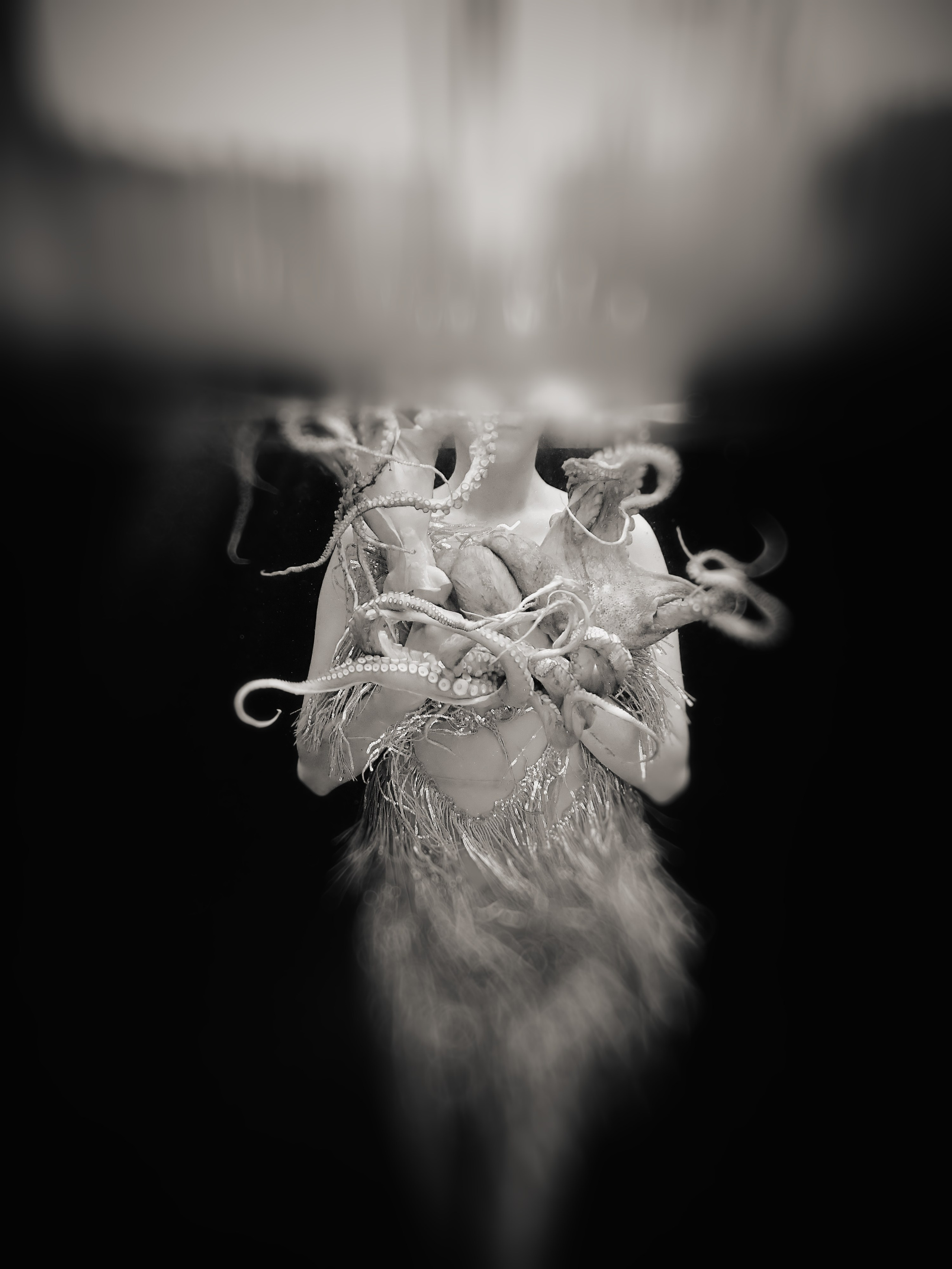 Photo by Kari Bishop