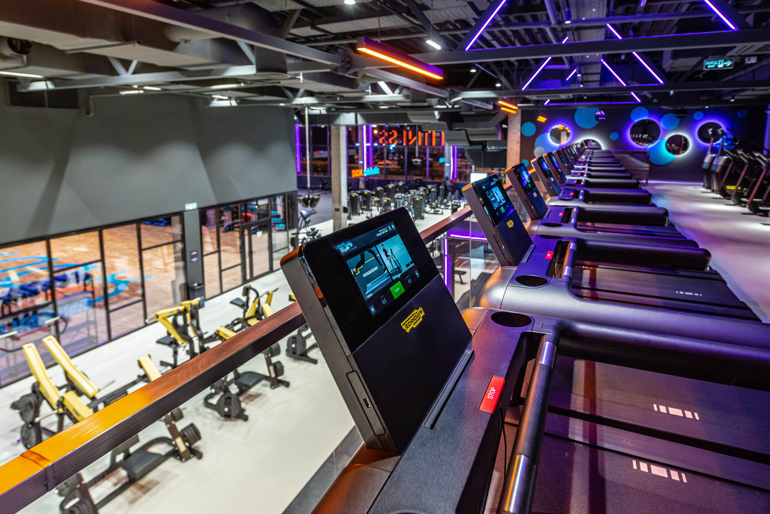 DDX Fitness Митино. ФОТОГРАФ МЕКСИКА КИНТАНА-РОО