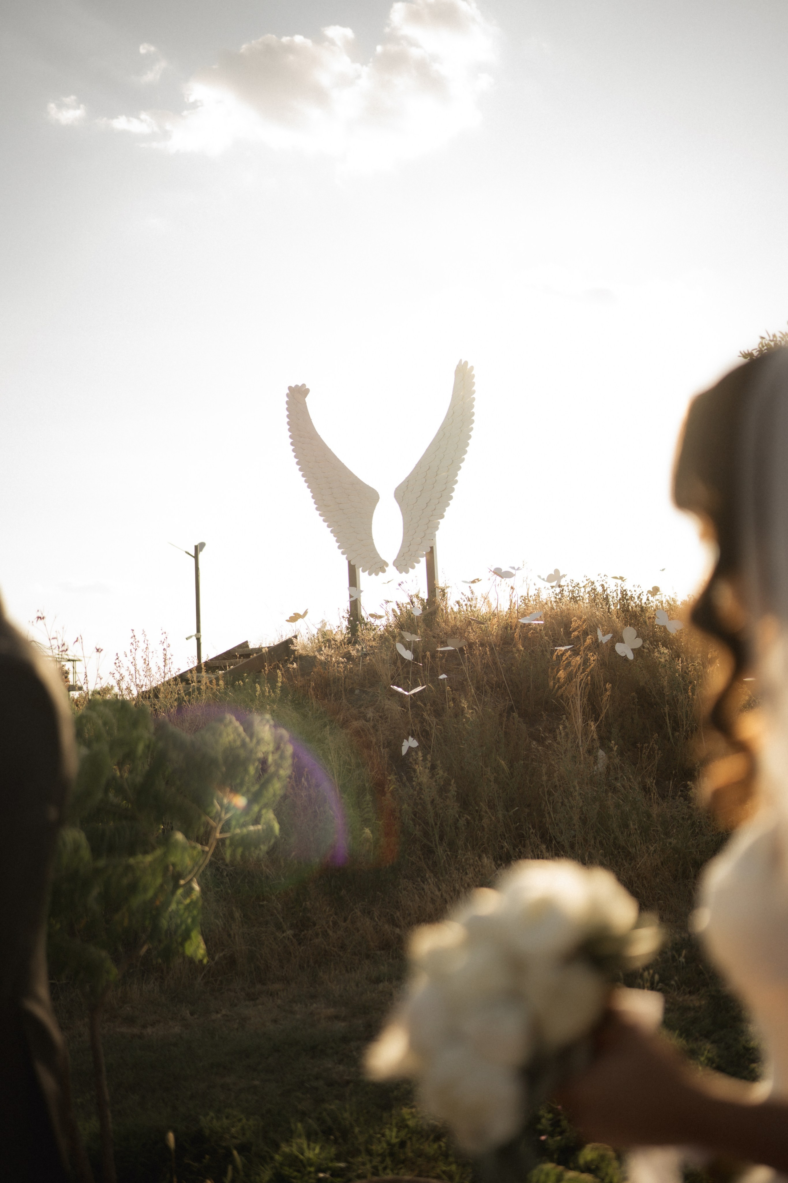 Victoria & Cristian | Wedding at Province Timisoara. Wedding photographer and videographer based in Timisoara, Romania