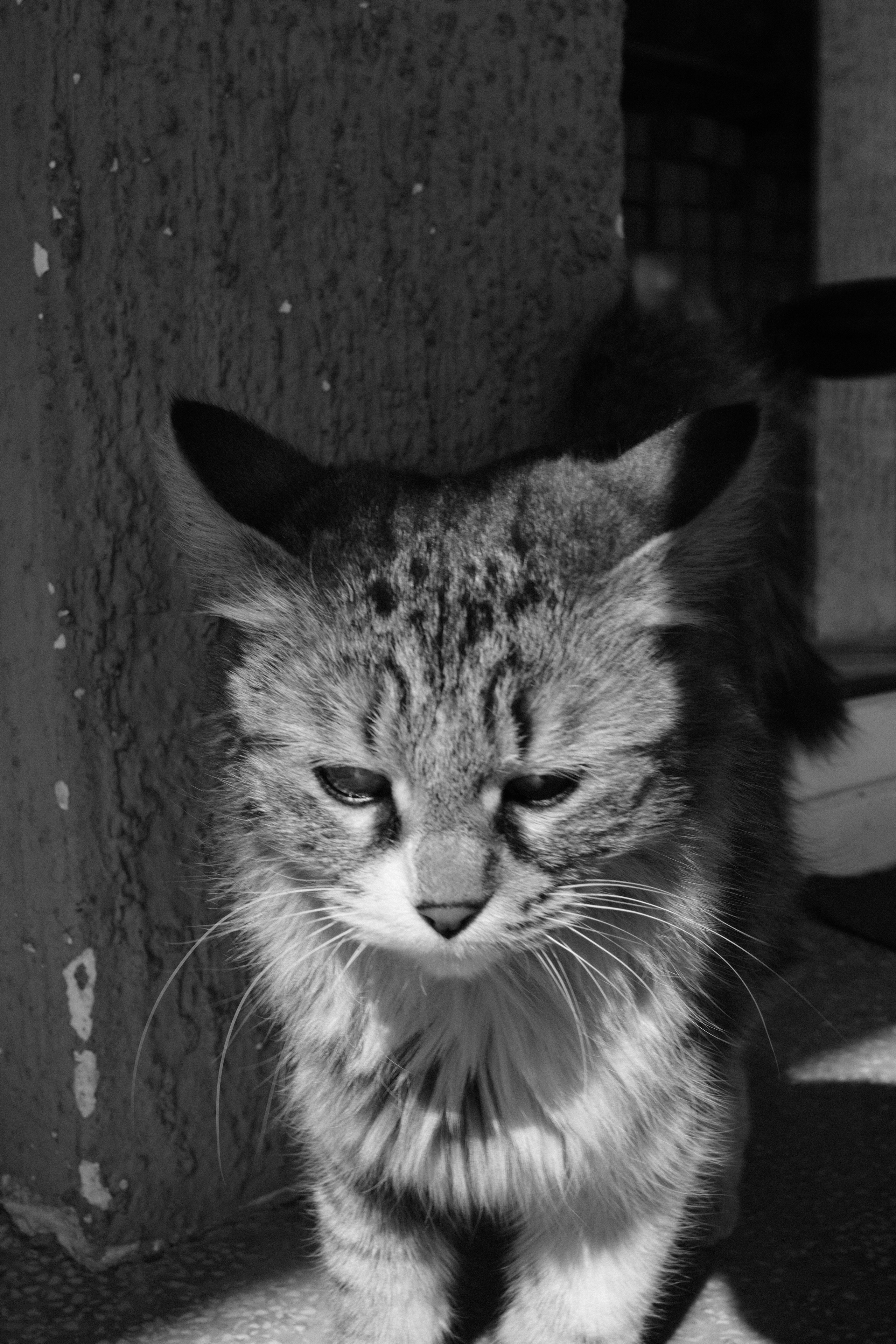 B&W ACROS + G. @Gio.Fujifilm official Fujifilm Ambassador & X-Photographer in Georgia