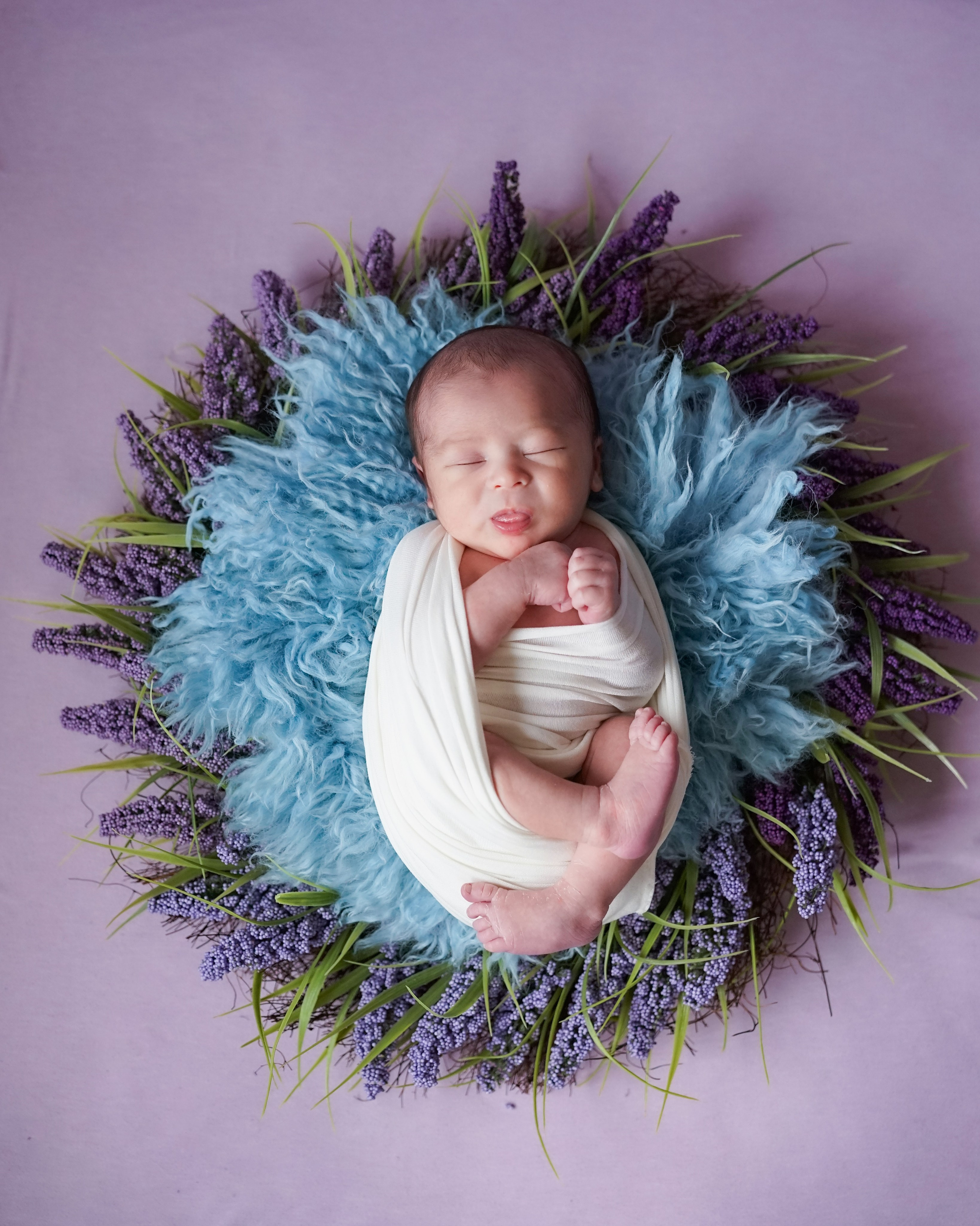 Posed Newborn. Maternity, family and newborn photography in San Francisco Bay Area