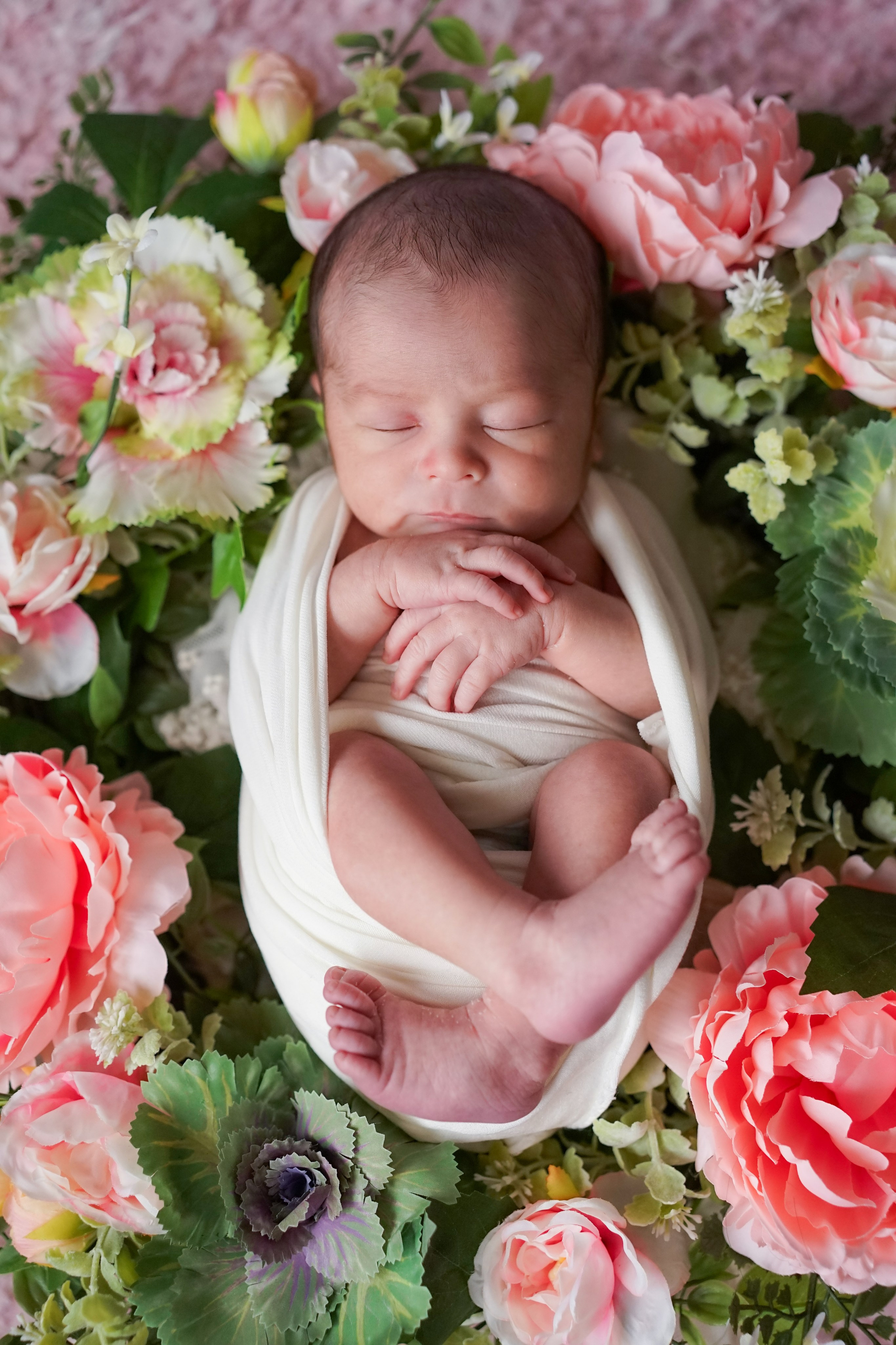 Posed Newborn. Maternity, family and newborn photography in San Francisco Bay Area