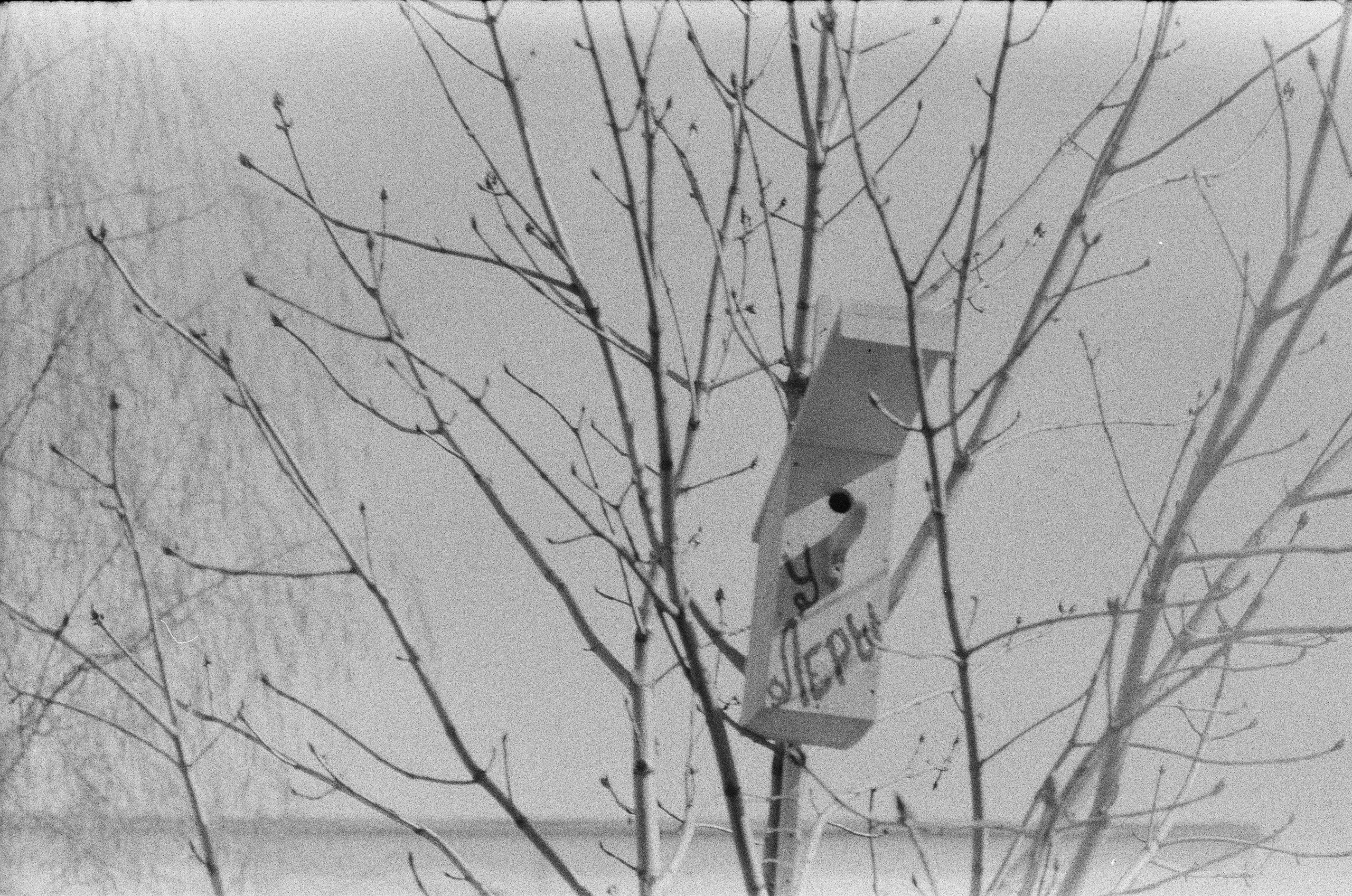 Я здесь живу. Екатерина Федорова