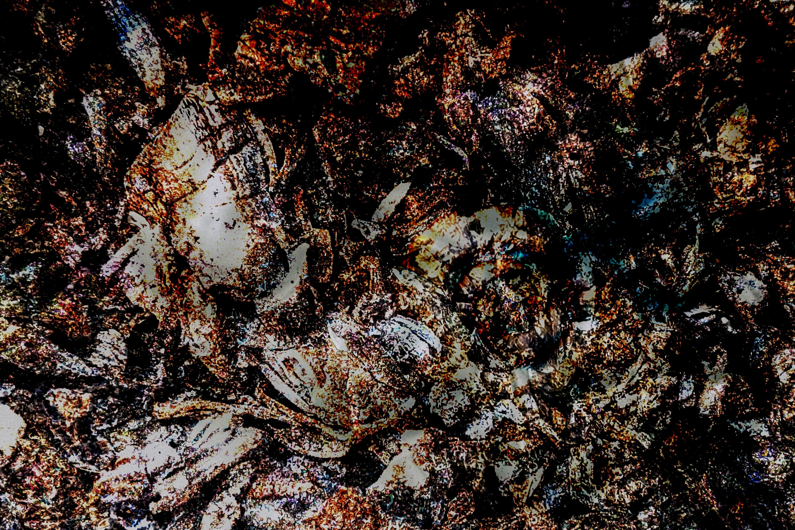 Проекти. Фотограф Оксана Ляшенко Дніпро Україна Oksain