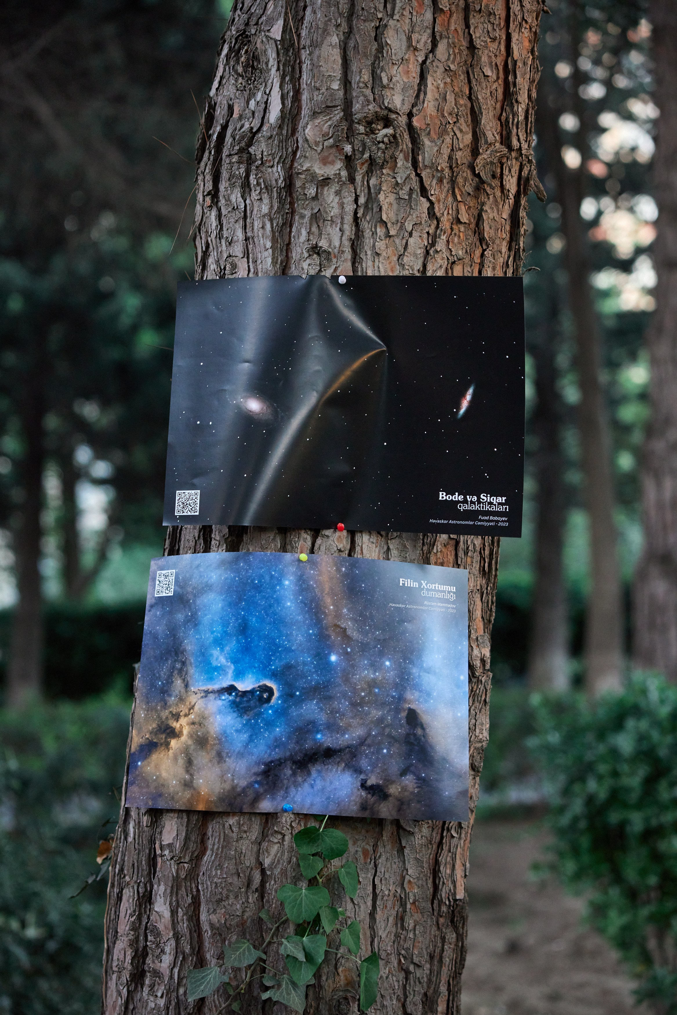 Bakı Dövlət Universitetində müşahidə axşamı. Həvəskar Astronomlar Cəmiyyəti — Astronomy.az