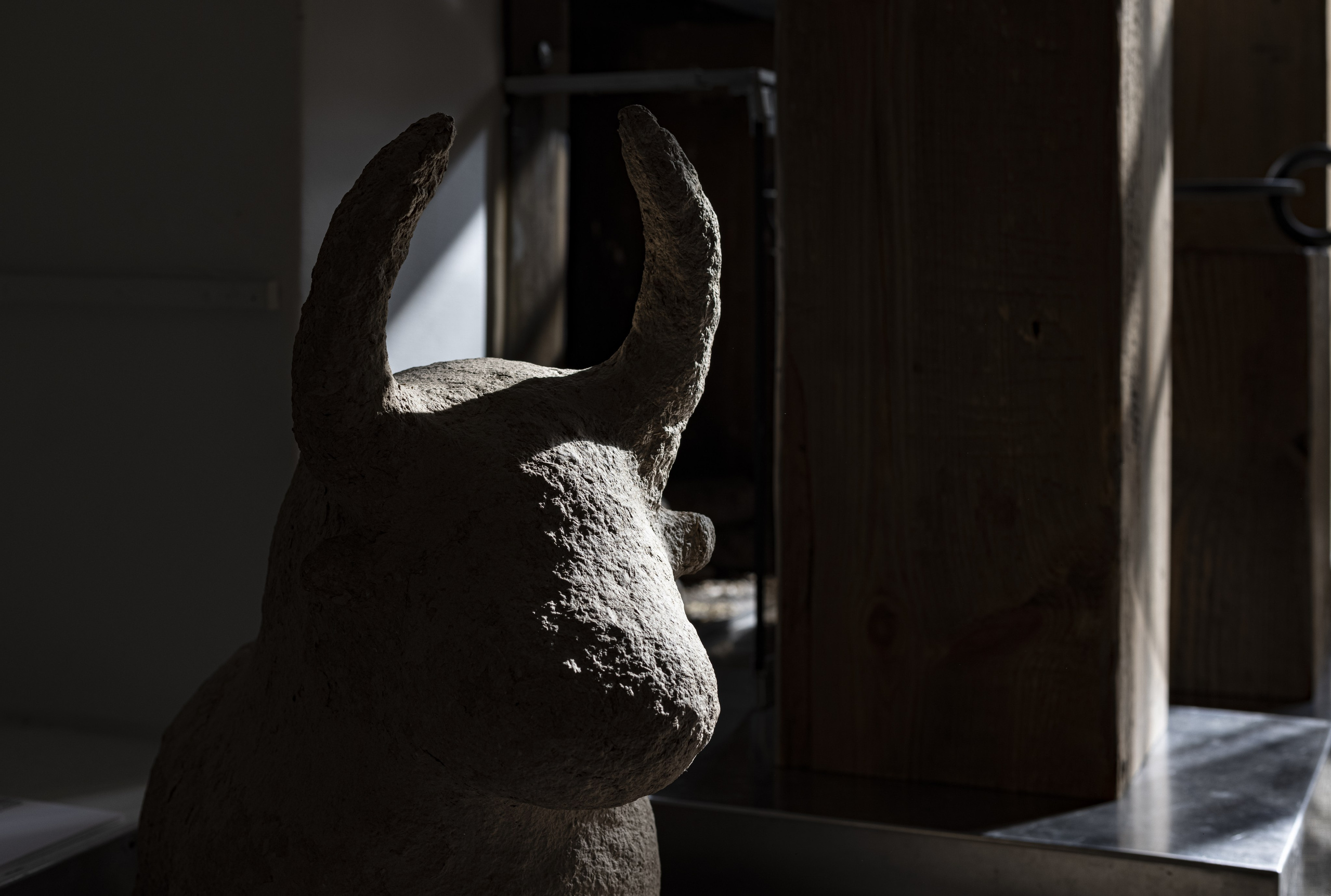 « Évolution de l’archaïque ». Natalia Bogdanovska. Films et photographie corporate en France