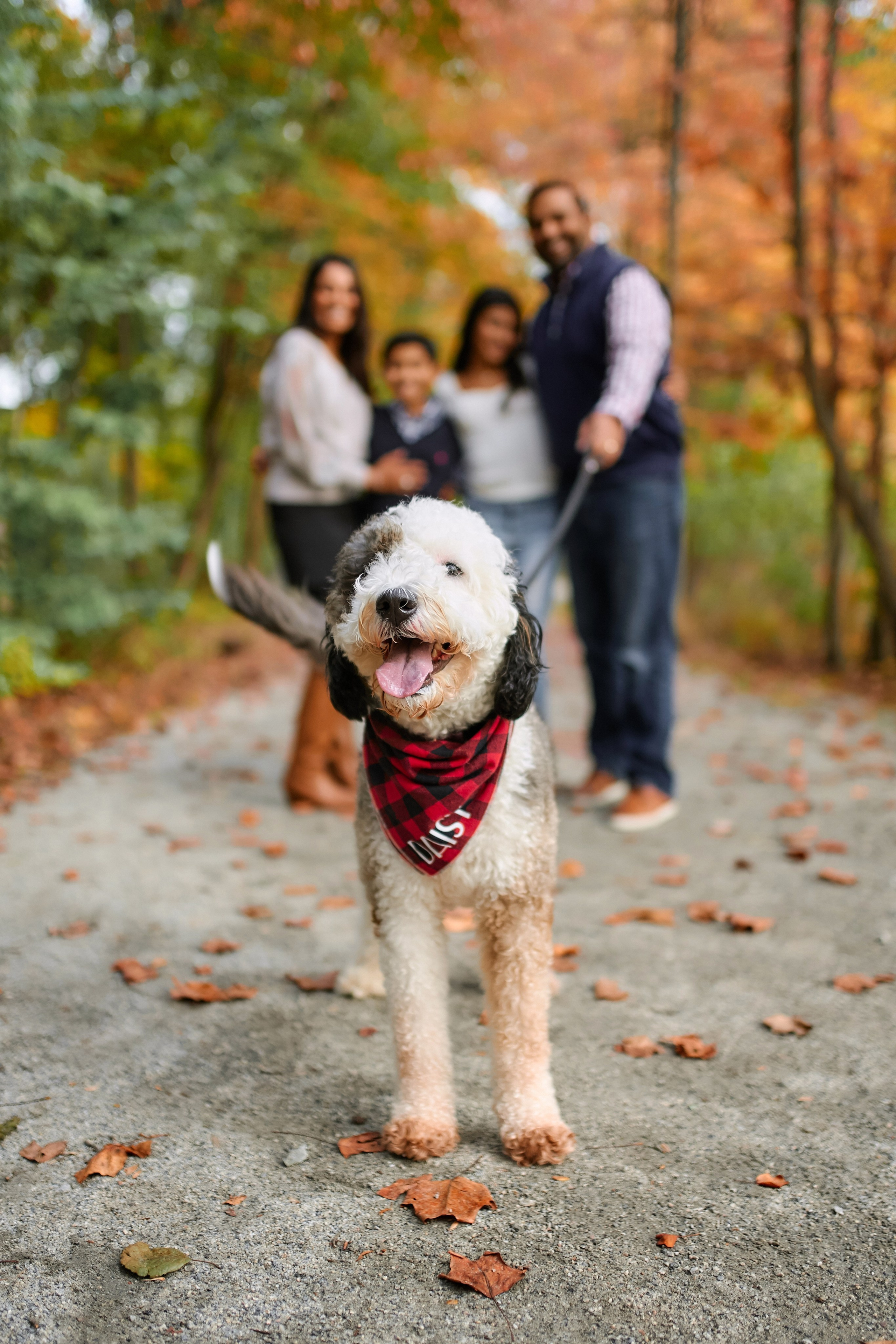 Family photo service New York / Experienced photographer. Professional Wedding and event photographer USA New York