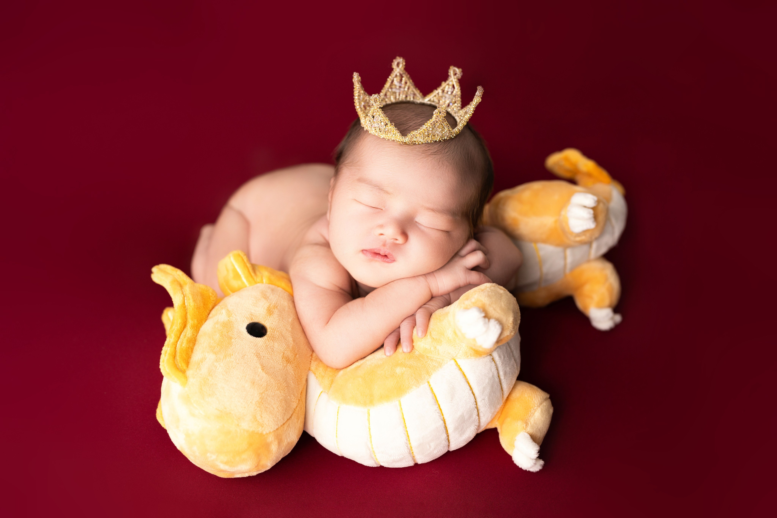 Packages and pricing. JaneProPhoto | Tampa Newborn Photographer