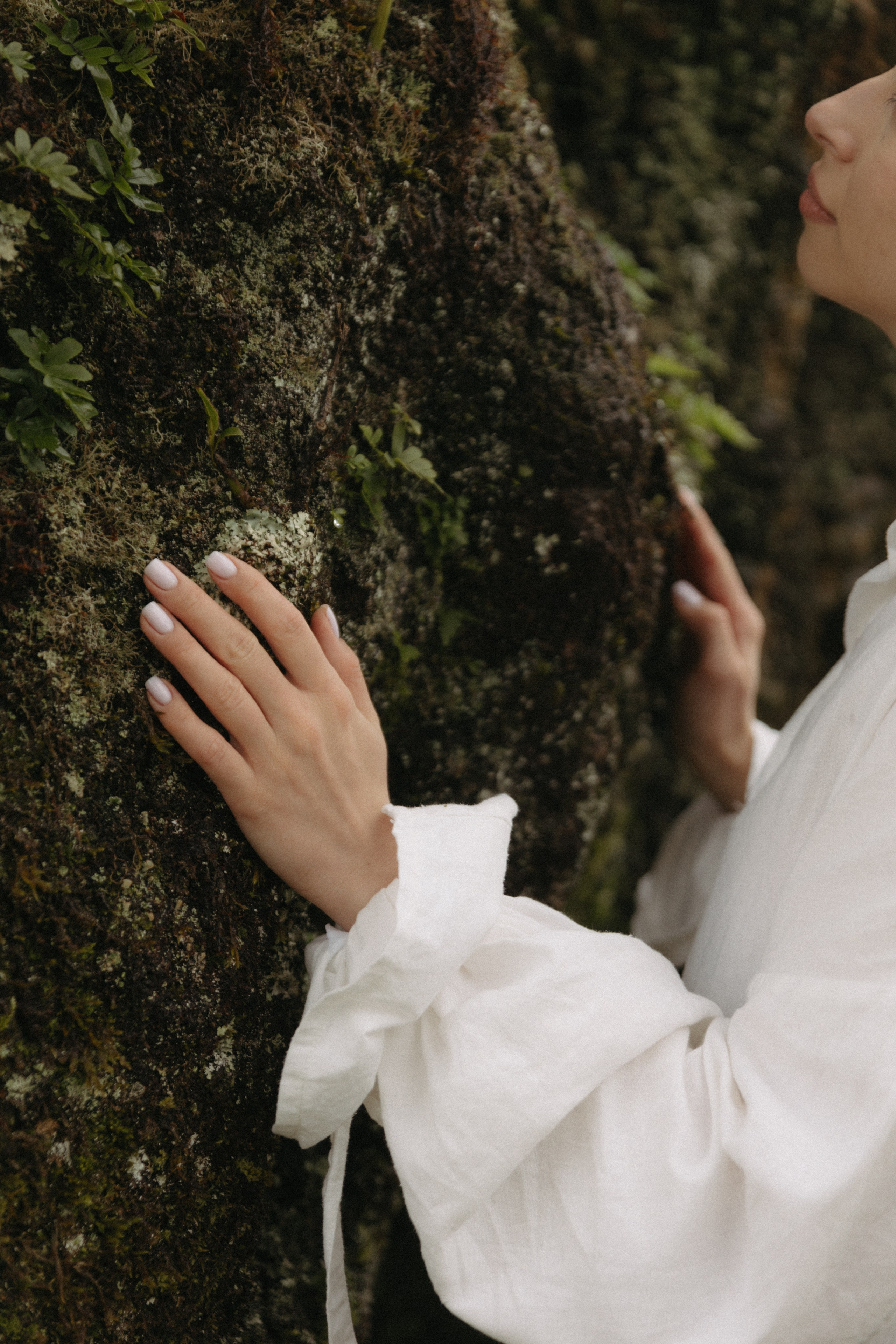Magic of Fanal Forest. Wedding photographer and videographer based in Timisoara, Romania