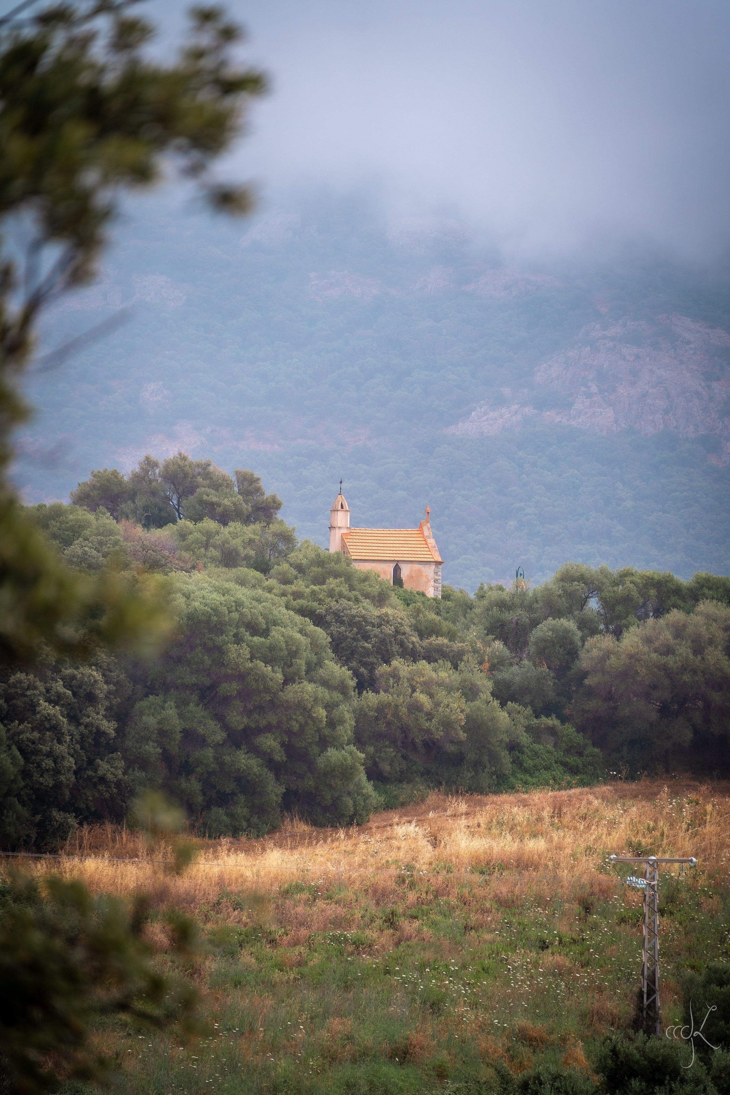 FLOWTIME: the 6th Cargèse summer school. Expect Miracles Photography by Kate & Andrew
