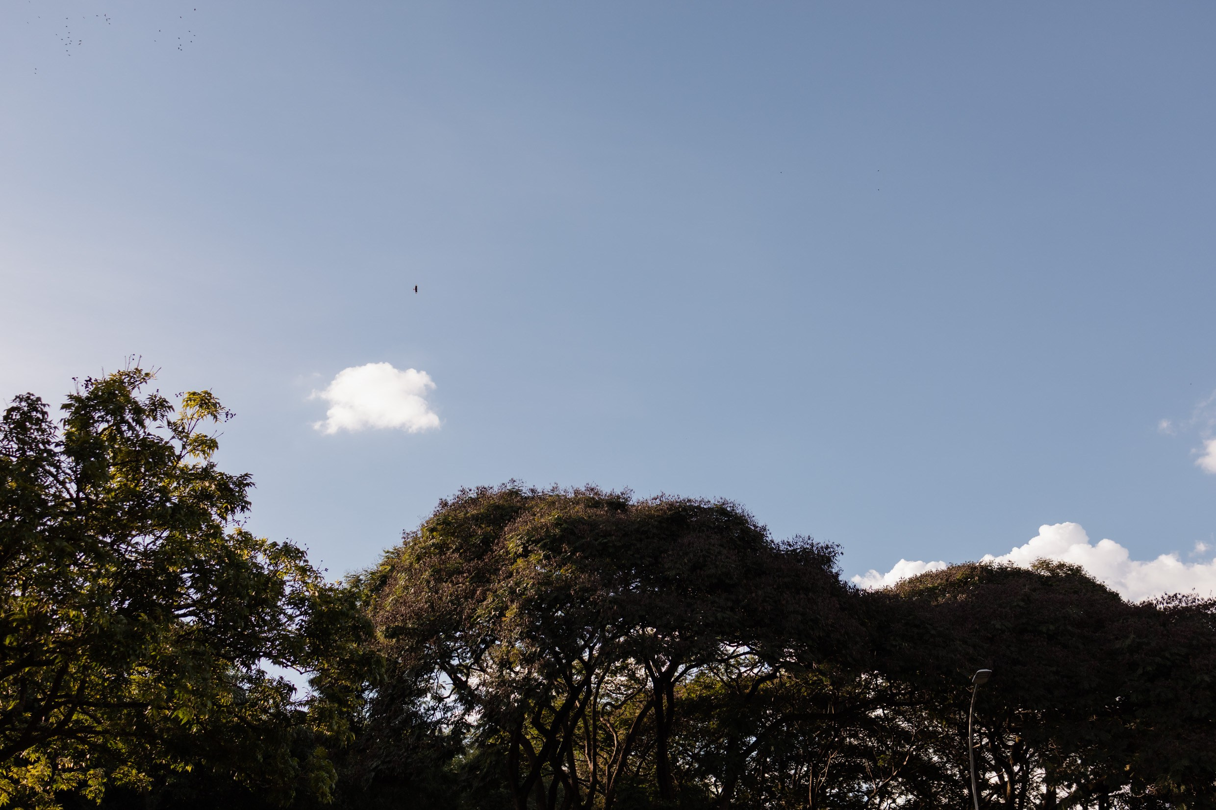 Ensaio mãe e filhos em Brasília • Asa Norte | Fotografia de Família. Fotógrafa em Brasília e Recife | Ensaios de família, gestante e festas infantis — Ize Fotografia
