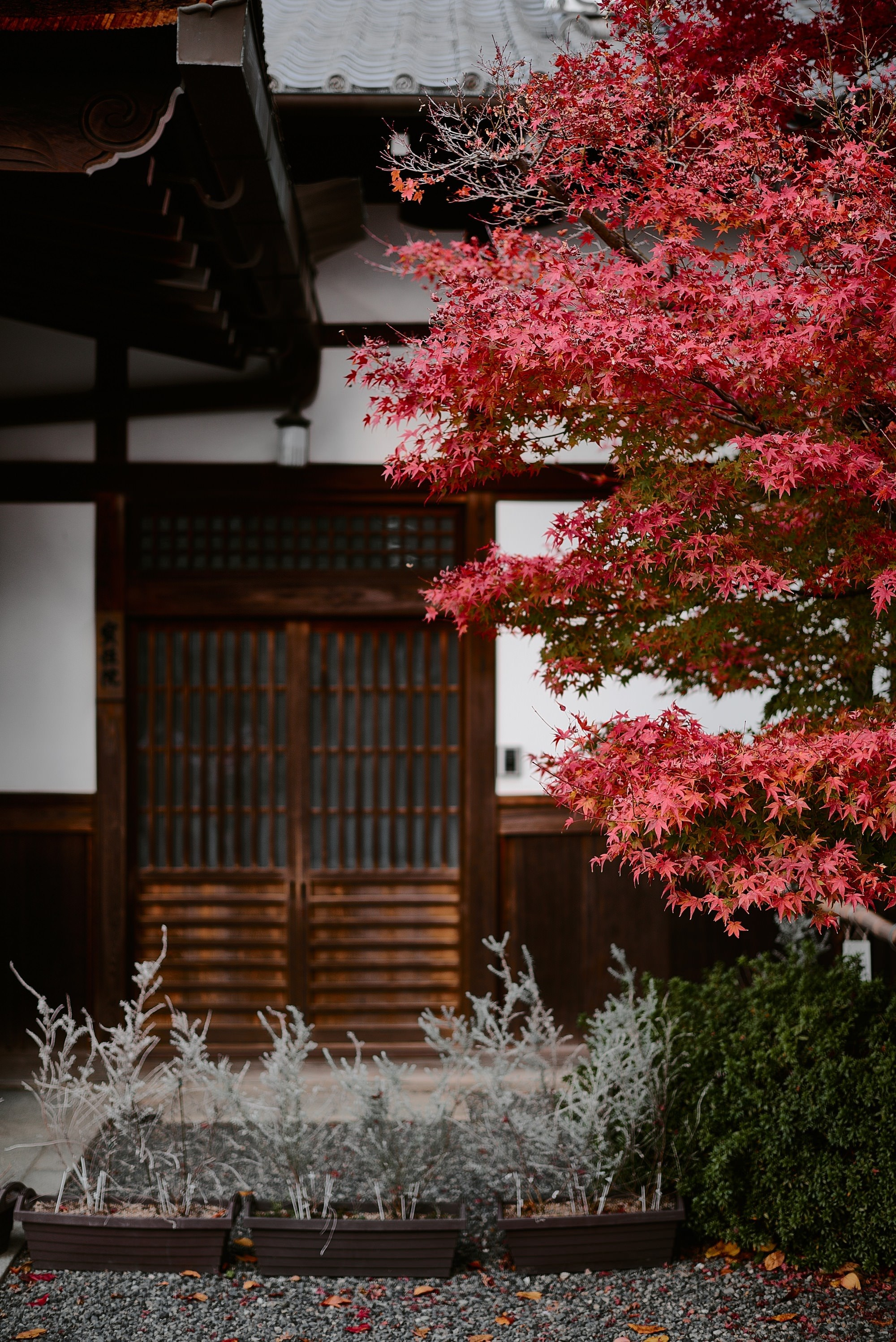 Kyoto and Nara, Japan — A Photographer’s Travel Guide