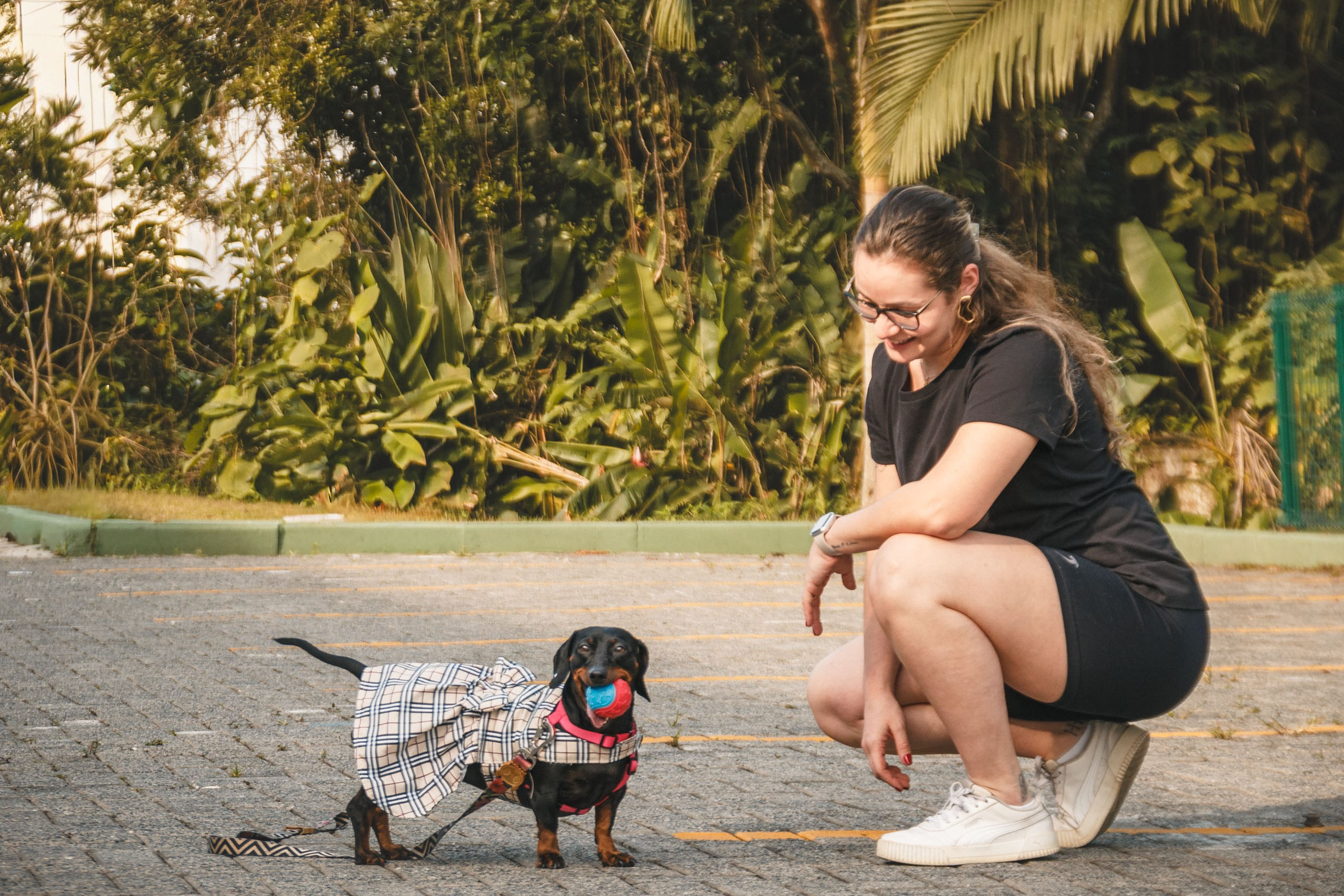 Qualidade de vida e bem-estar do Dachshund. Marcus Monteiro Fotografia