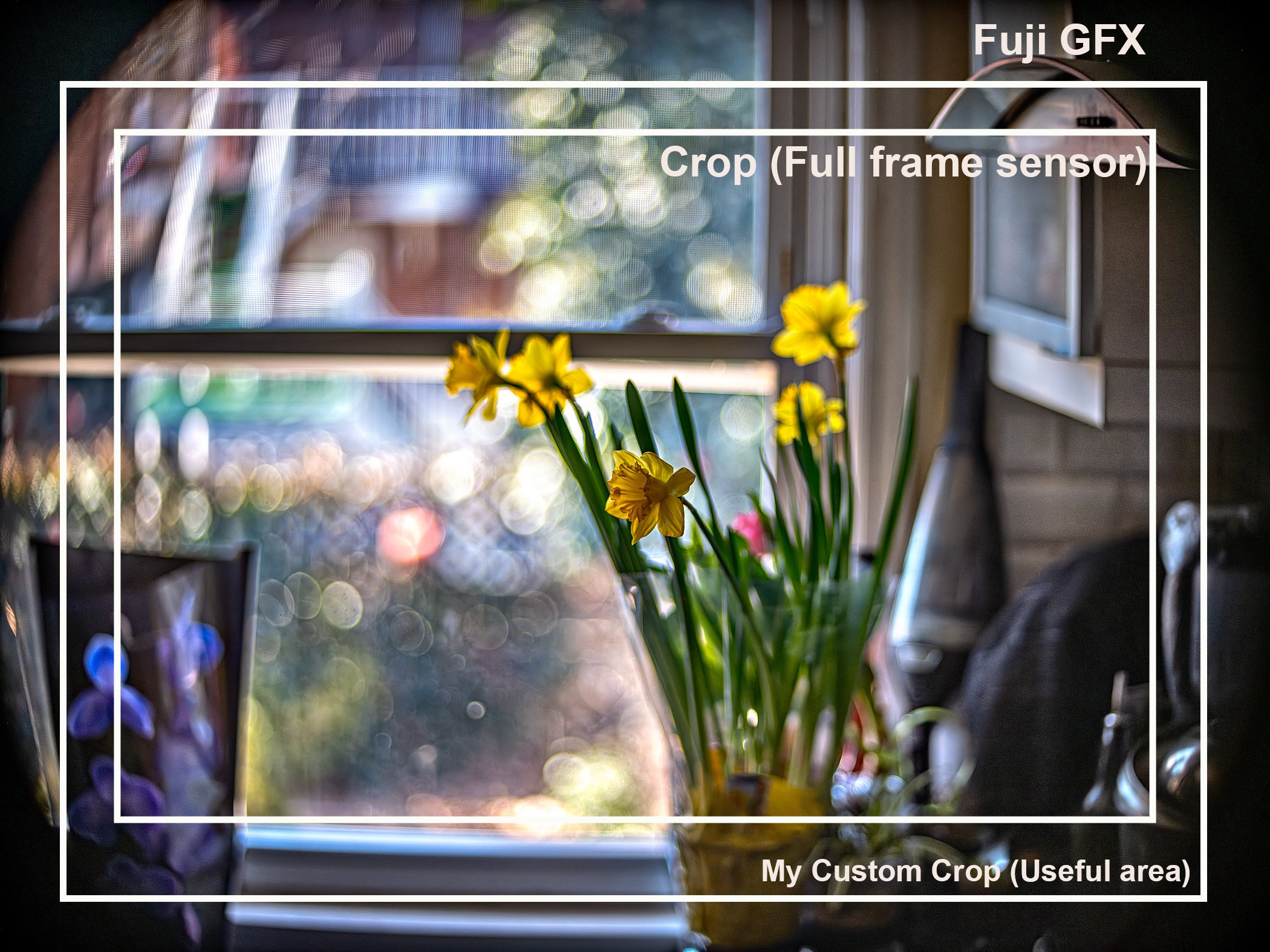 Lens test today — Kollmorgen BX294 (long lens) 3 inch (76mm) f1.7+ Fuji GFX 100s (Vignetting on a Fuji GFX). Emin Kuliyev — Award-Winning Wedding Photojournalist NYC & USA | Best Wedding Photographer Known for Candid, Timeless Moments