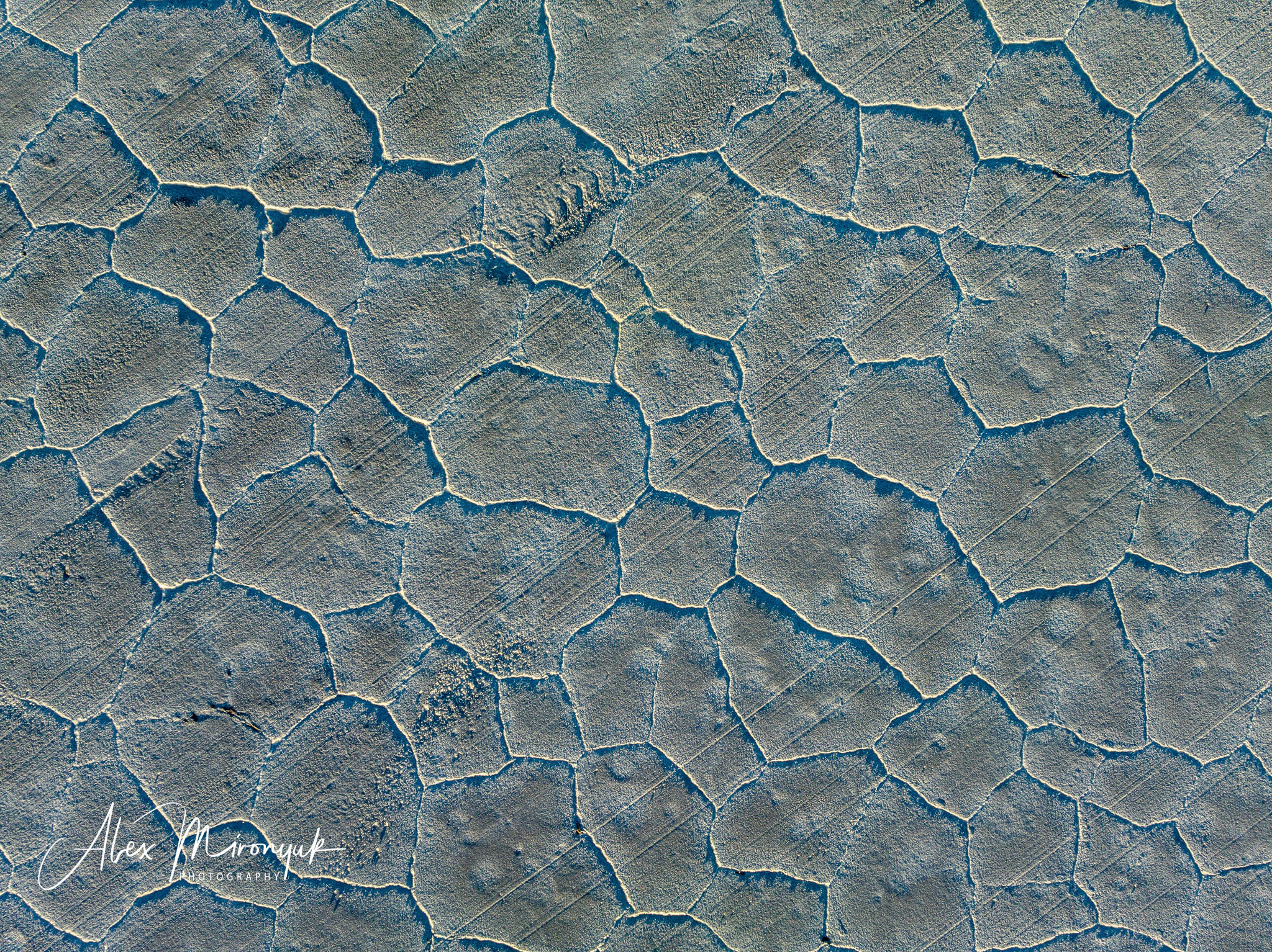 Unknown Northern Argentina. Pet, Senior, Landscape, portrait studio, photographer in Miami and Sou