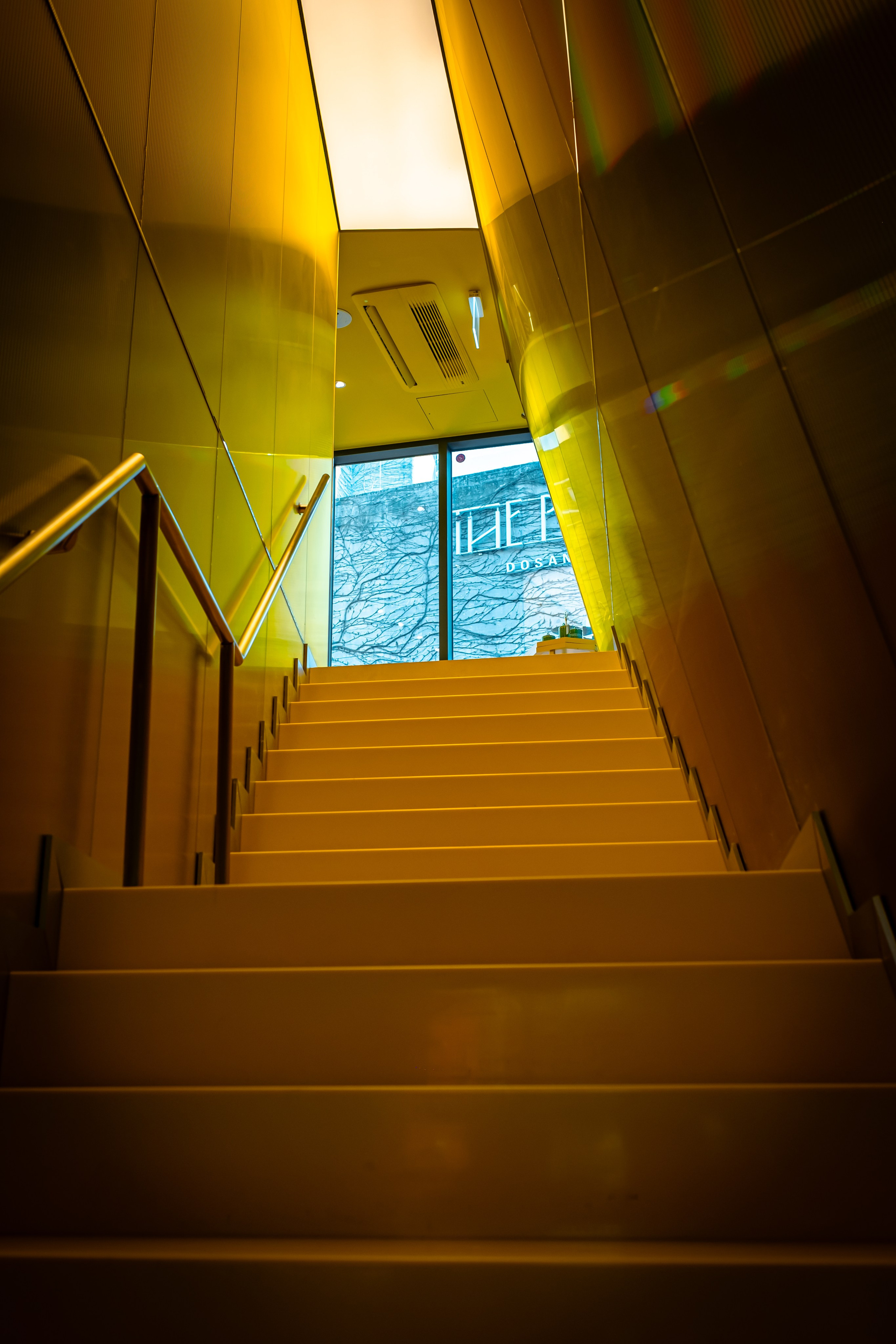 SWAROVSKI. Photographer in Seoul Dobrokvashina Natalya