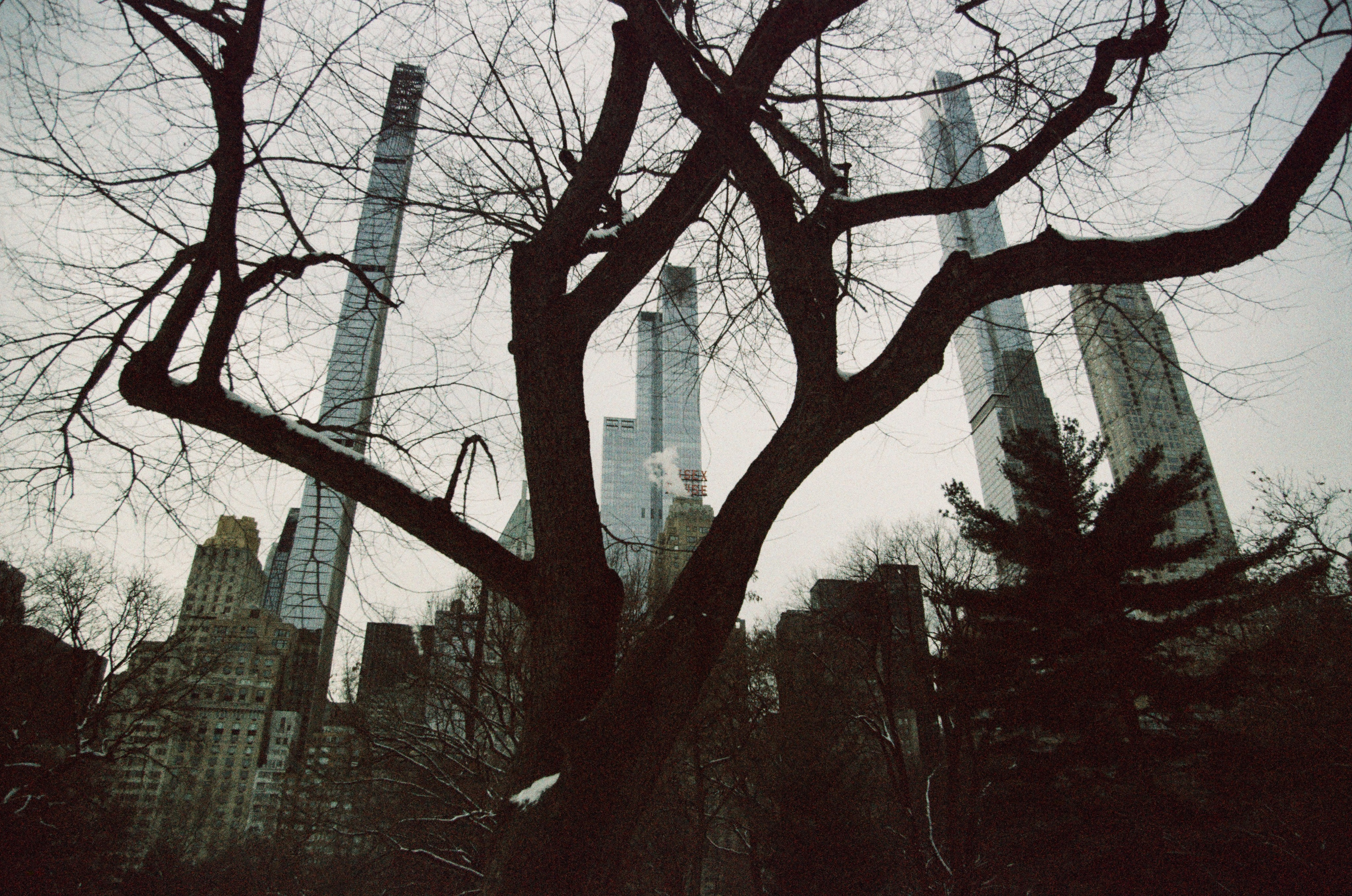 Нью-Йорк в январе: холодно, но волшебно!