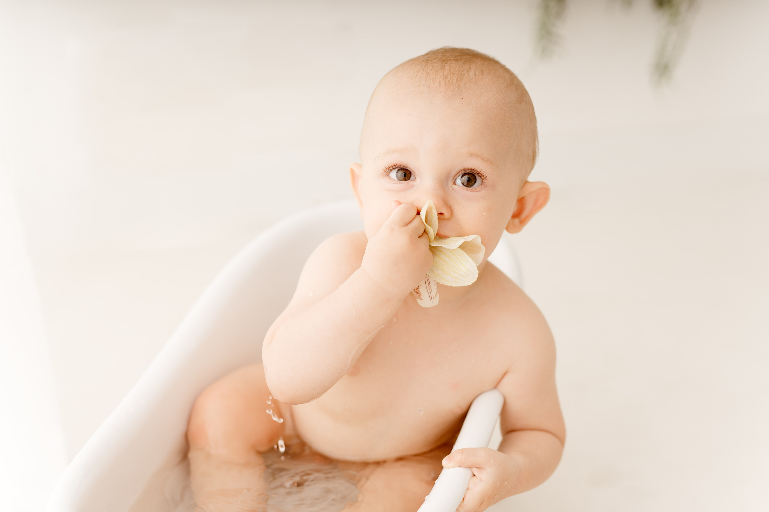 Sesja roczkowa Markusa. Fotograf Łódź - sesja ciążowa, noworodkowa, dziecięca. Studio w Łodzi