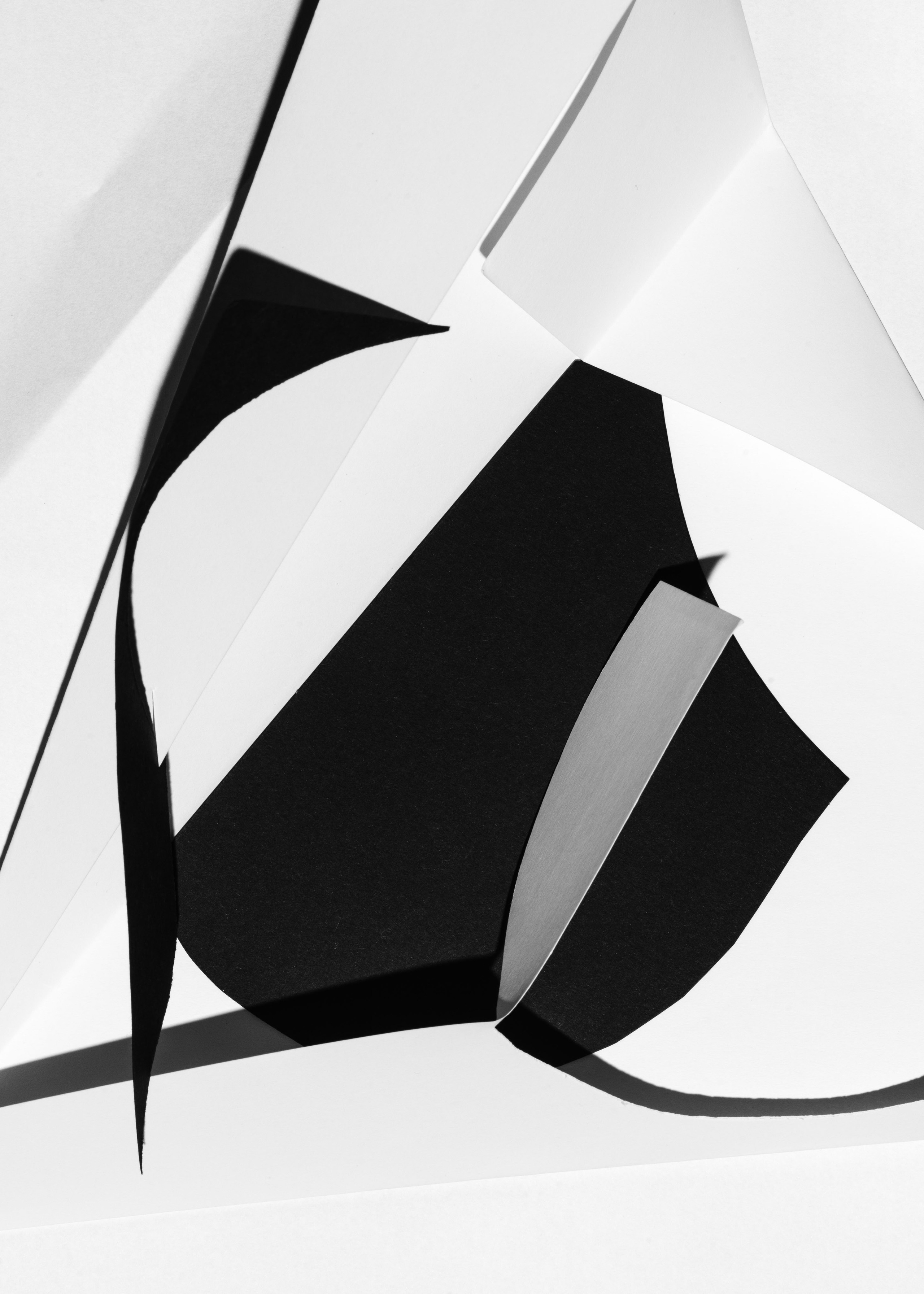 contemporary photography still life