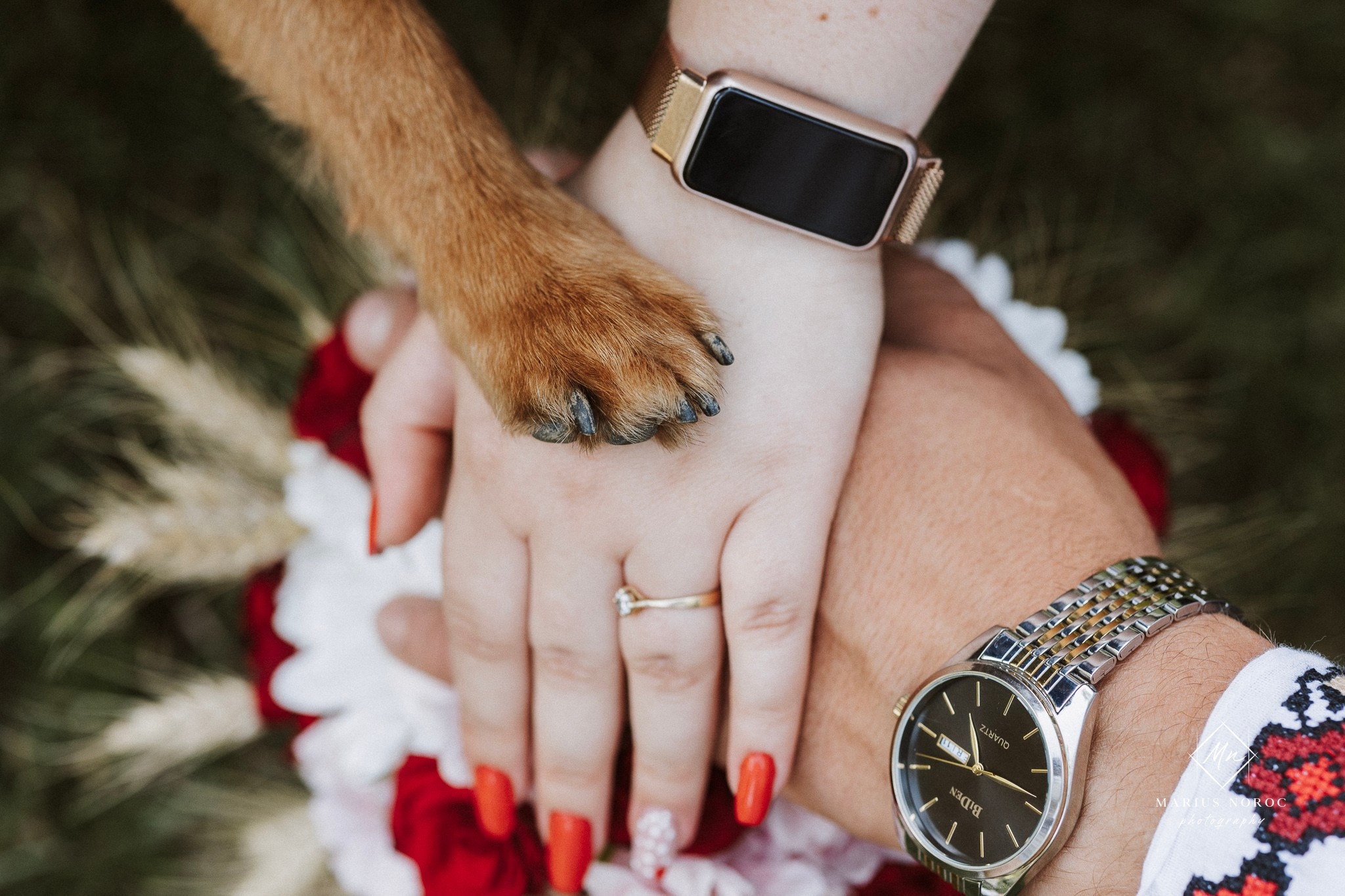 Nicoleta și Ionuț au ales Forest Events Cucorăni pentru ședința foto "