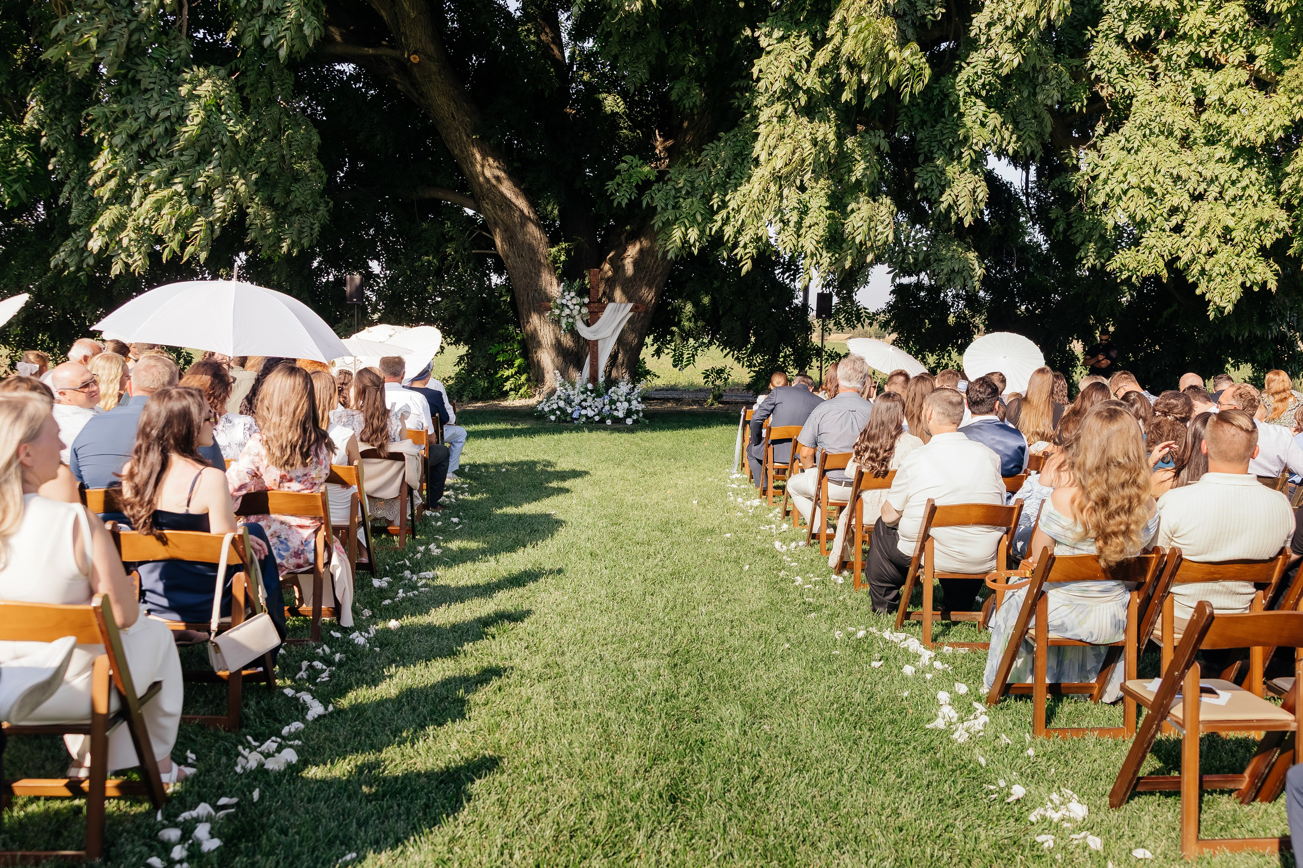 ArtFeather Photography. Sacramento, California