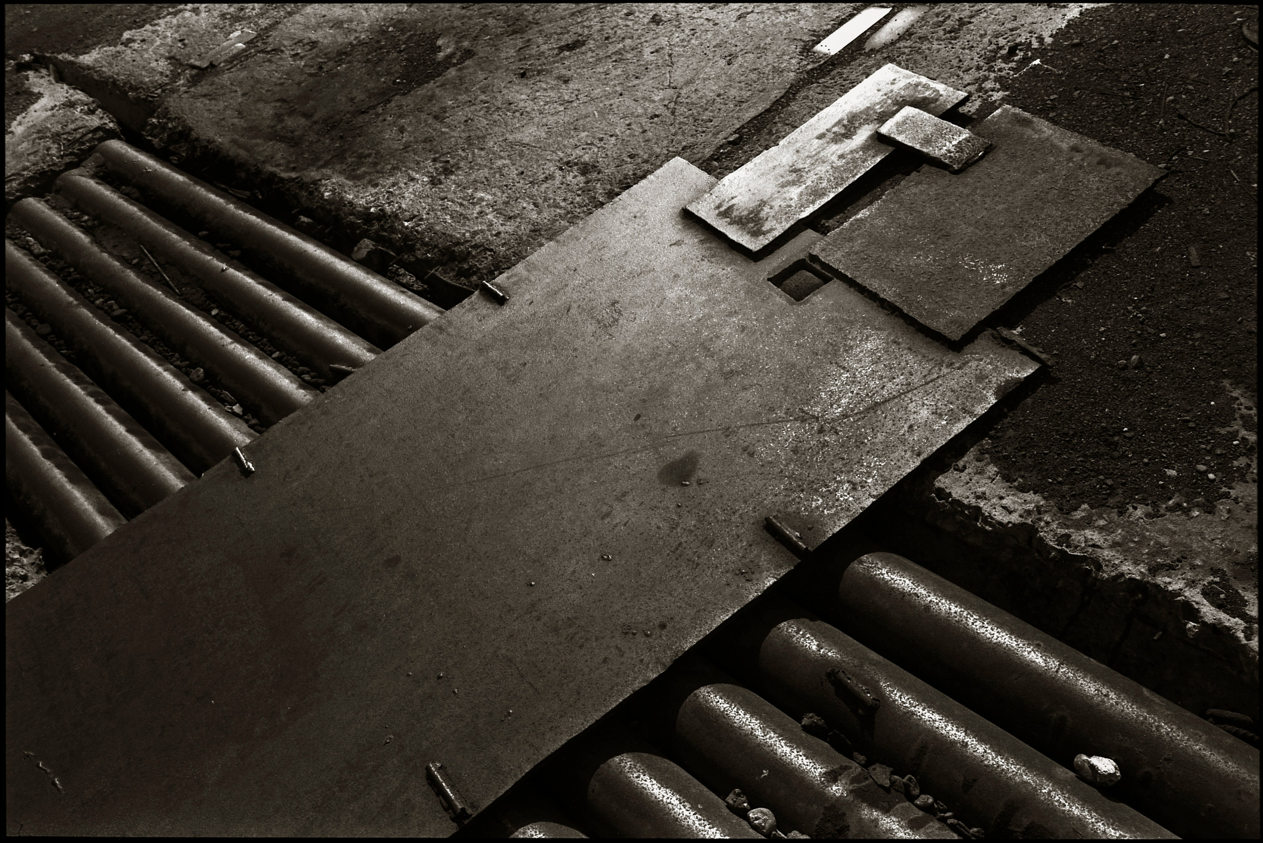 FIELD OF THE MASTER. Www.sananaleskerov.com