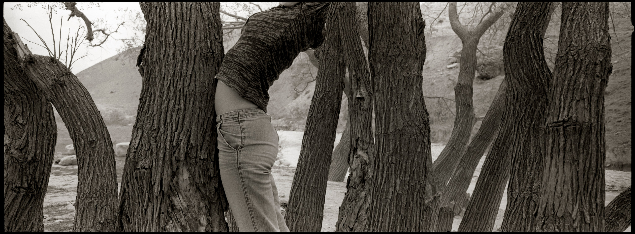 Plasticity of the living. Khyzy, 2005