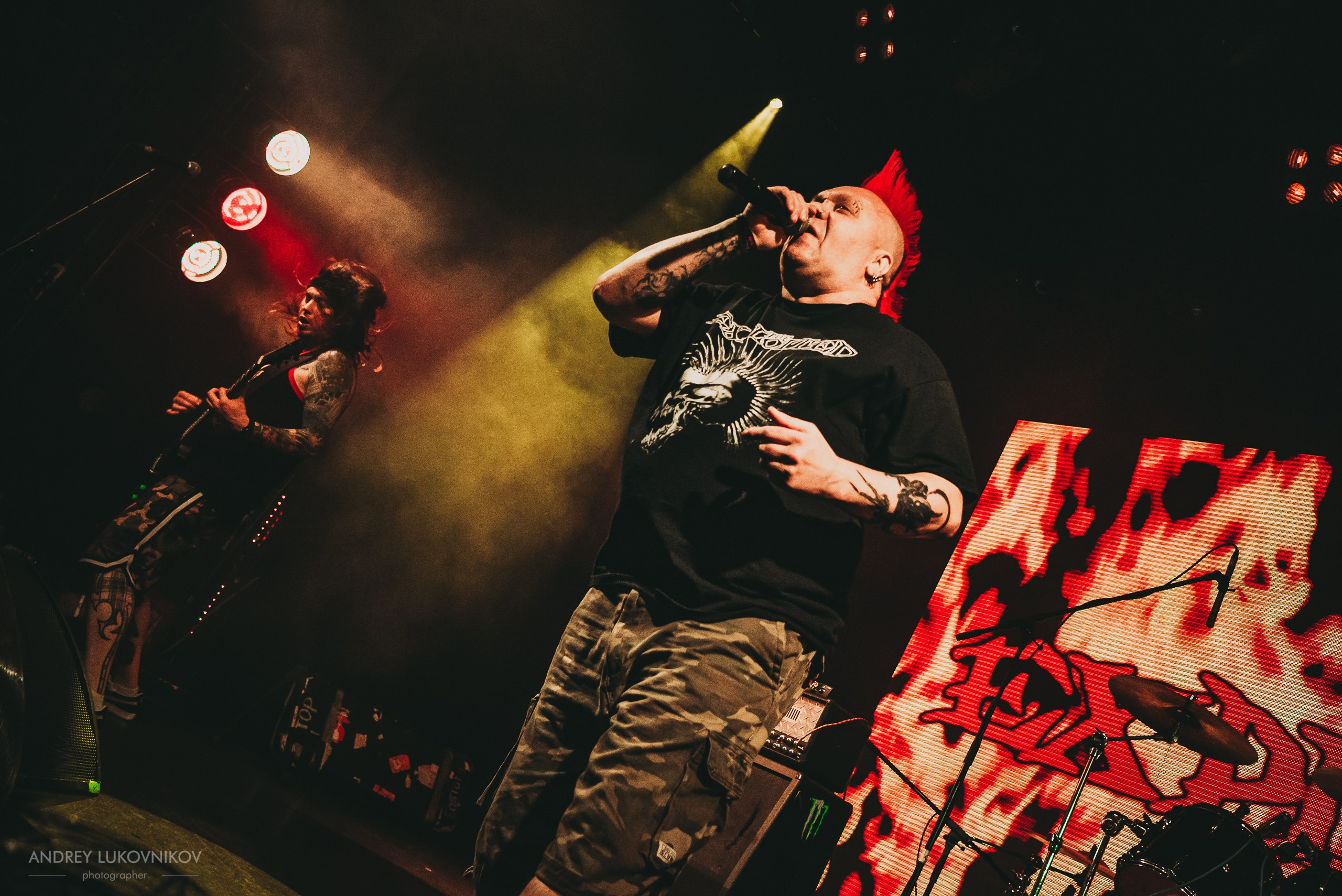 The Exploited. Tour 2017