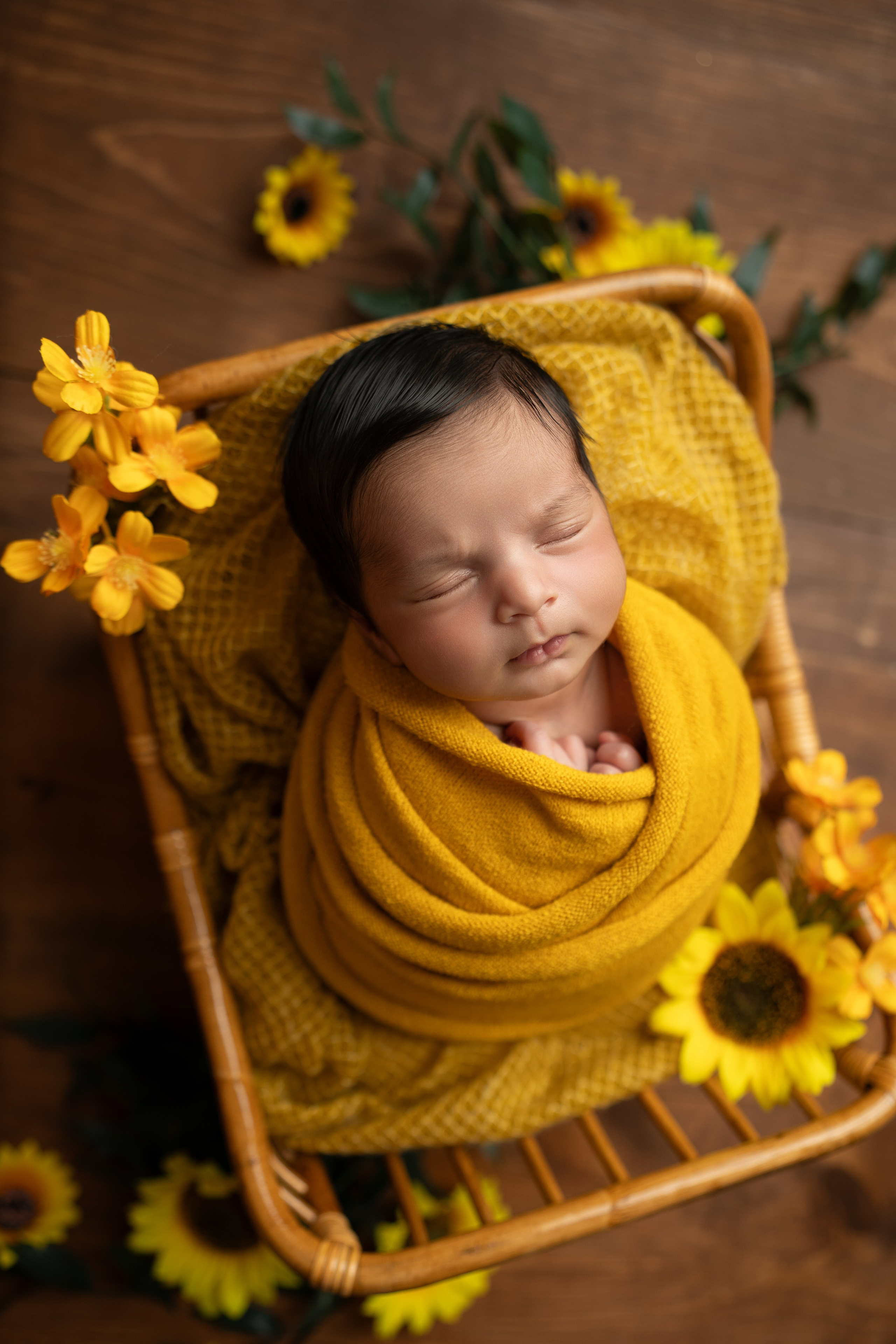 Posed Newborn. Maternity, family and newborn photography in San Francisco Bay Area