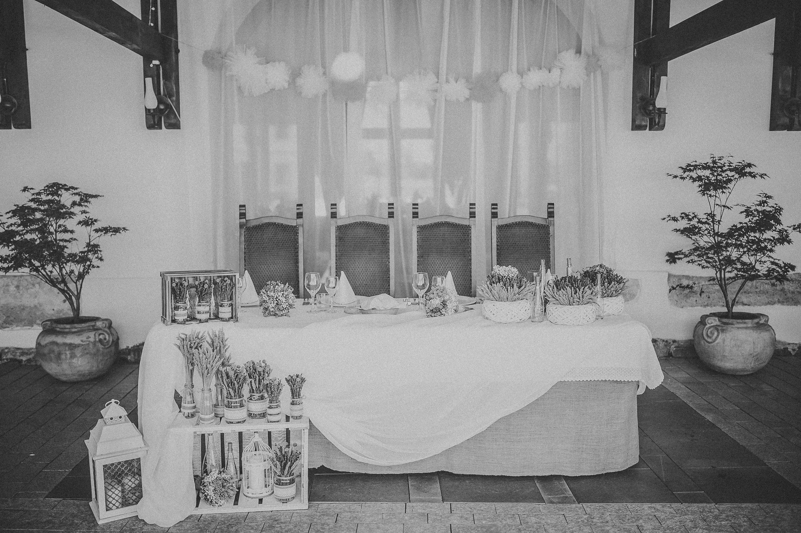 Alina și Ionuț | Fotografii Alb-Negru în Alba Iulia | Alex Vasilie. Alex Vasilie | Fotograf de Nuntă, Botez și Portret | Cluj-Napoca