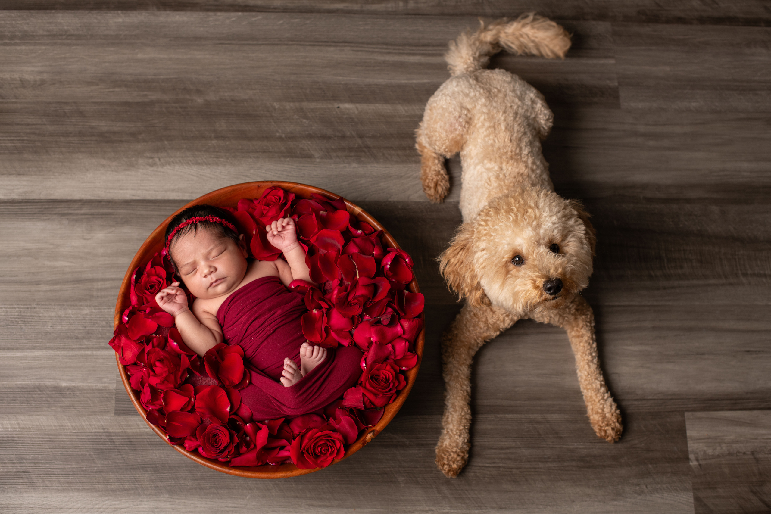 Little bit from Adeline newborn photoshoot. Newborn photographer Sacramento