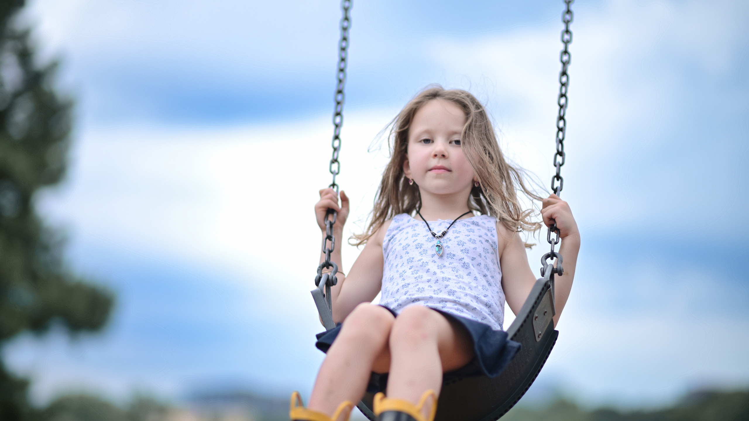 Sunflowers in Raleigh. Family and Sports photographer in Cary Raleigh NC North Carolina