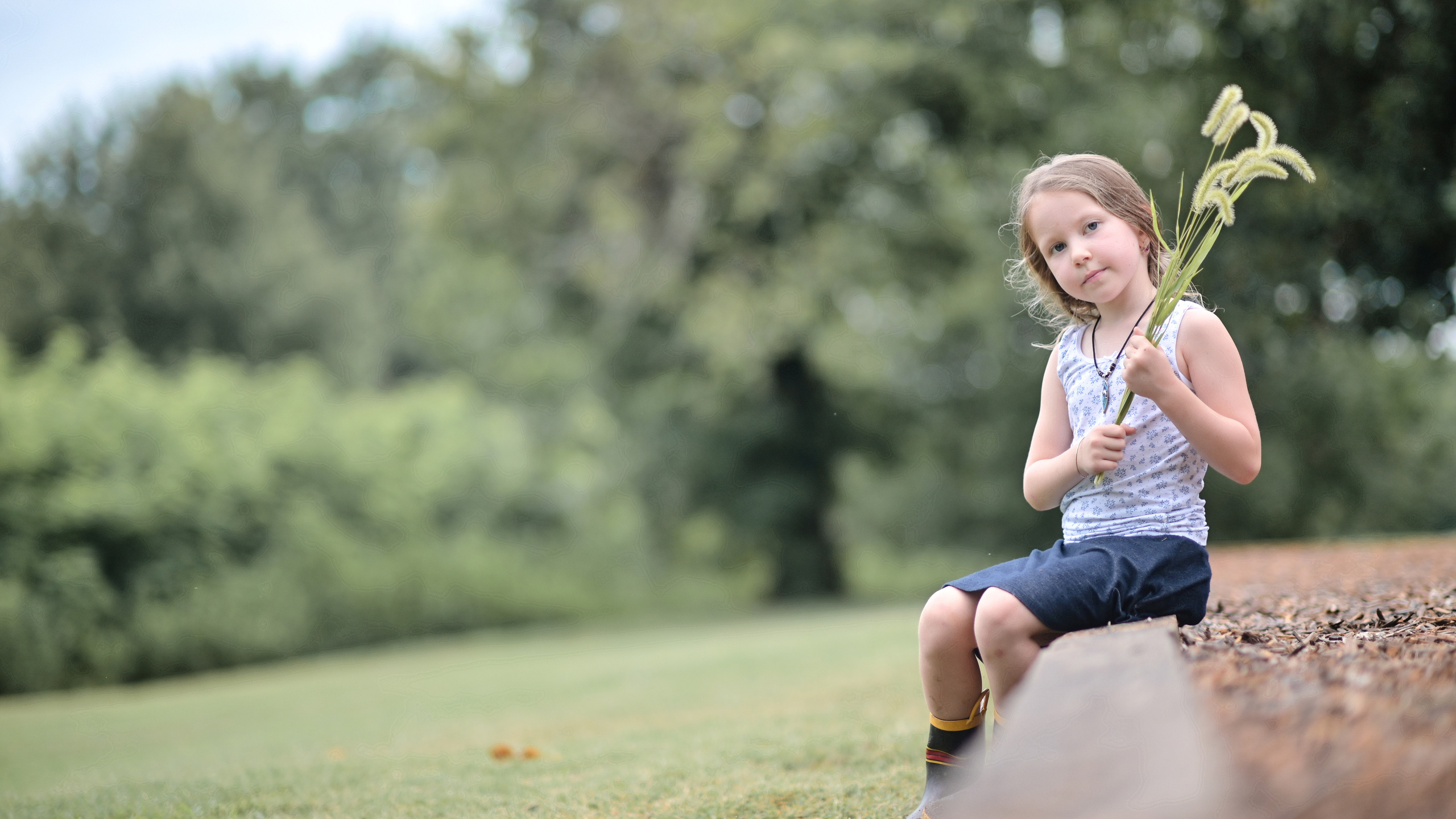 Sunflowers in Raleigh. Family and Sports photographer in Cary Raleigh NC North Carolina