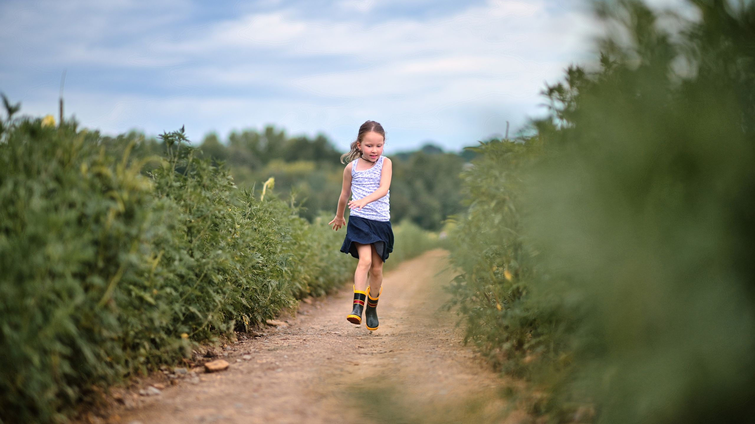 Sunflowers in Raleigh. Family and Sports photographer in Cary Raleigh NC North Carolina