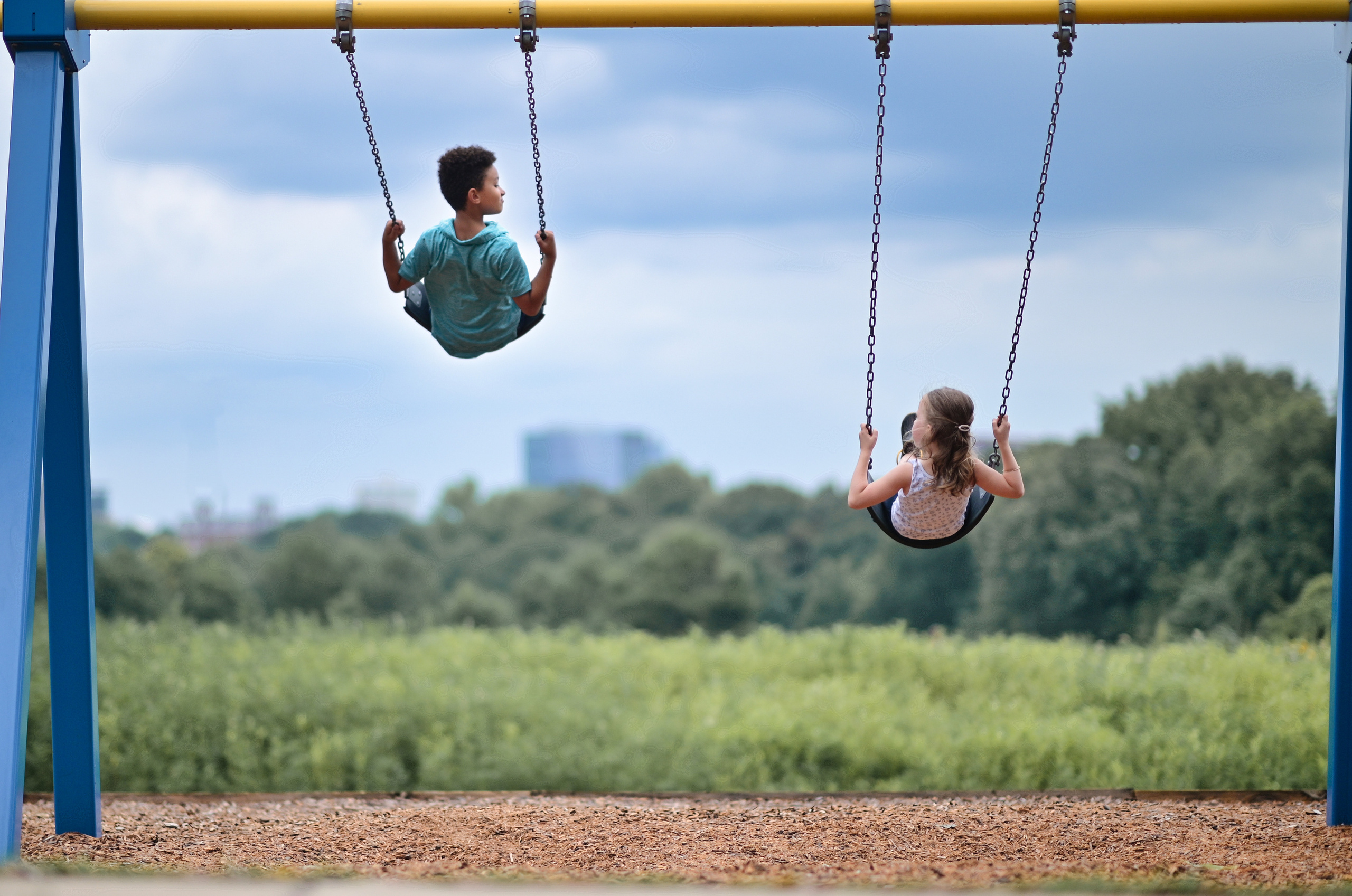 Sunflowers in Raleigh. Family and Sports photographer in Cary Raleigh NC North Carolina