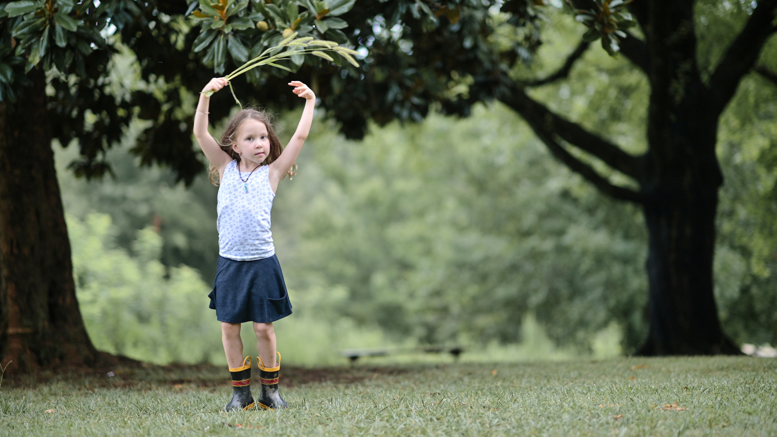 Sunflowers in Raleigh. Family and Sports photographer in Cary Raleigh NC North Carolina