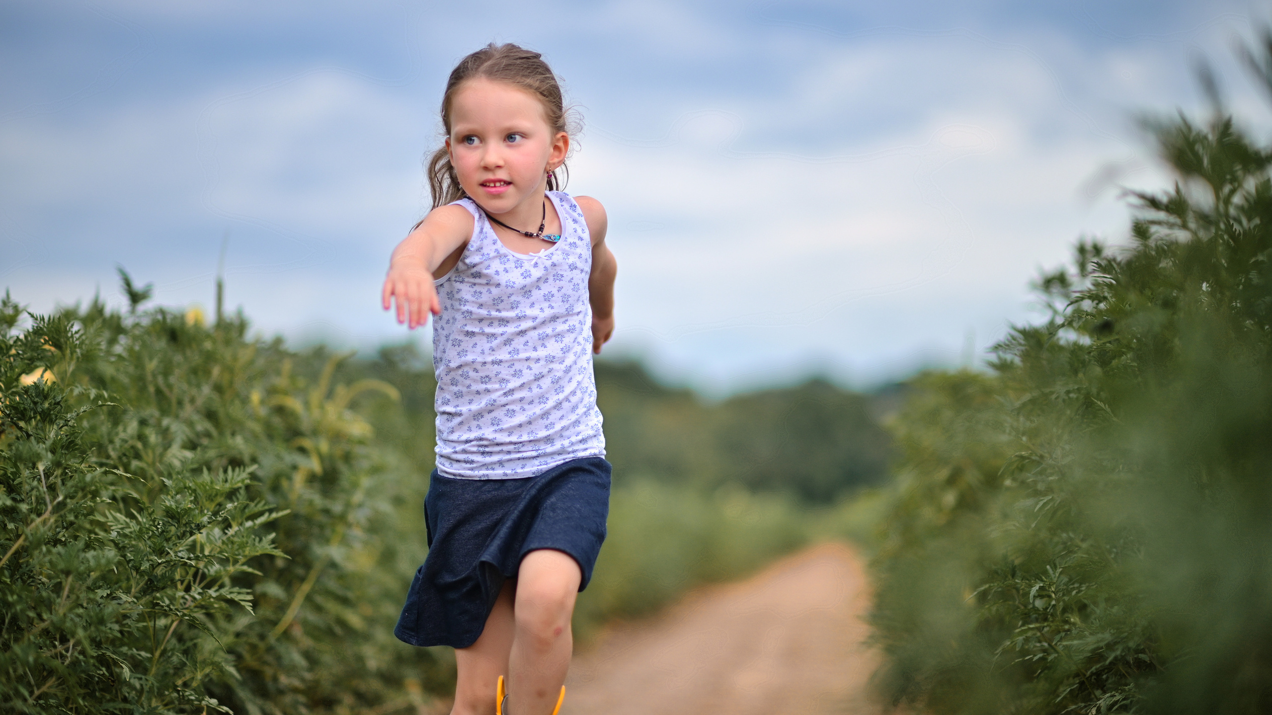 Sunflowers in Raleigh. Family and Sports photographer in Cary Raleigh NC North Carolina