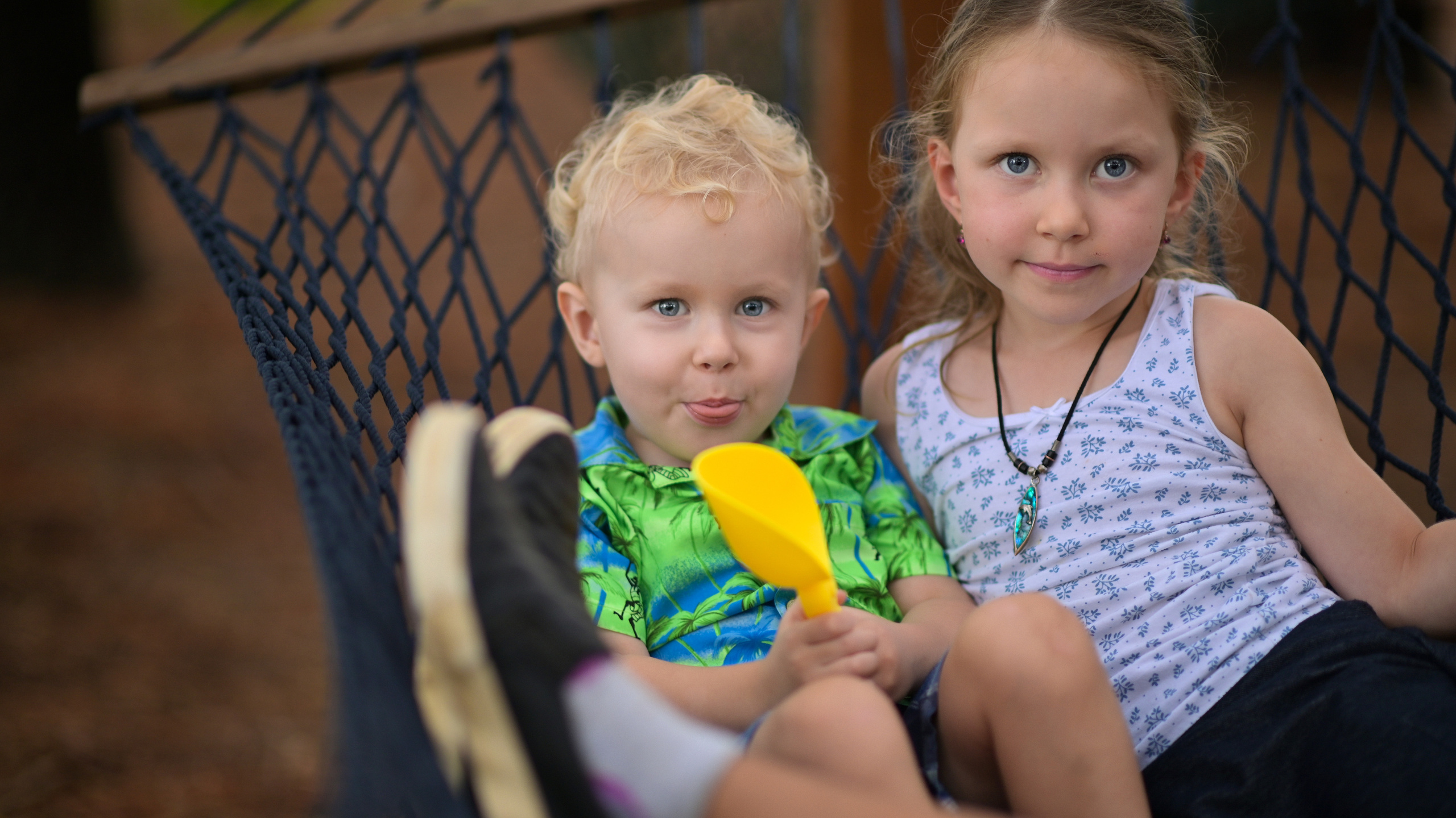 Sunflowers in Raleigh. Family and Sports photographer in Cary Raleigh NC North Carolina