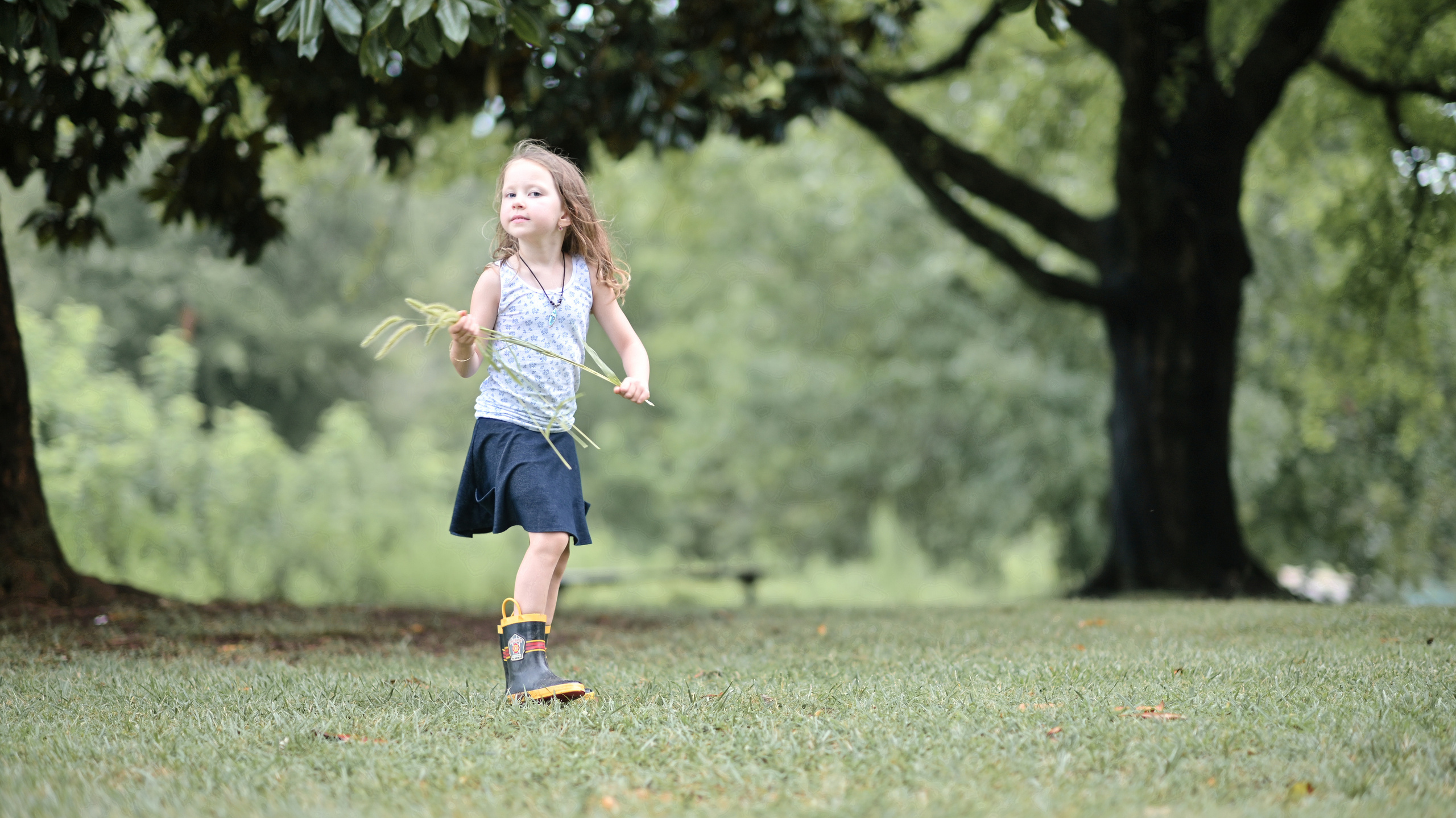 Sunflowers in Raleigh. Family and Sports photographer in Cary Raleigh NC North Carolina