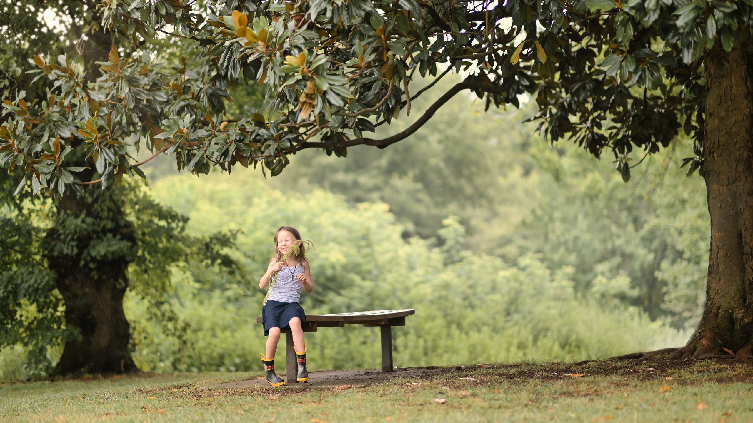 Sunflowers in Raleigh. Family and Sports photographer in Cary Raleigh NC North Carolina