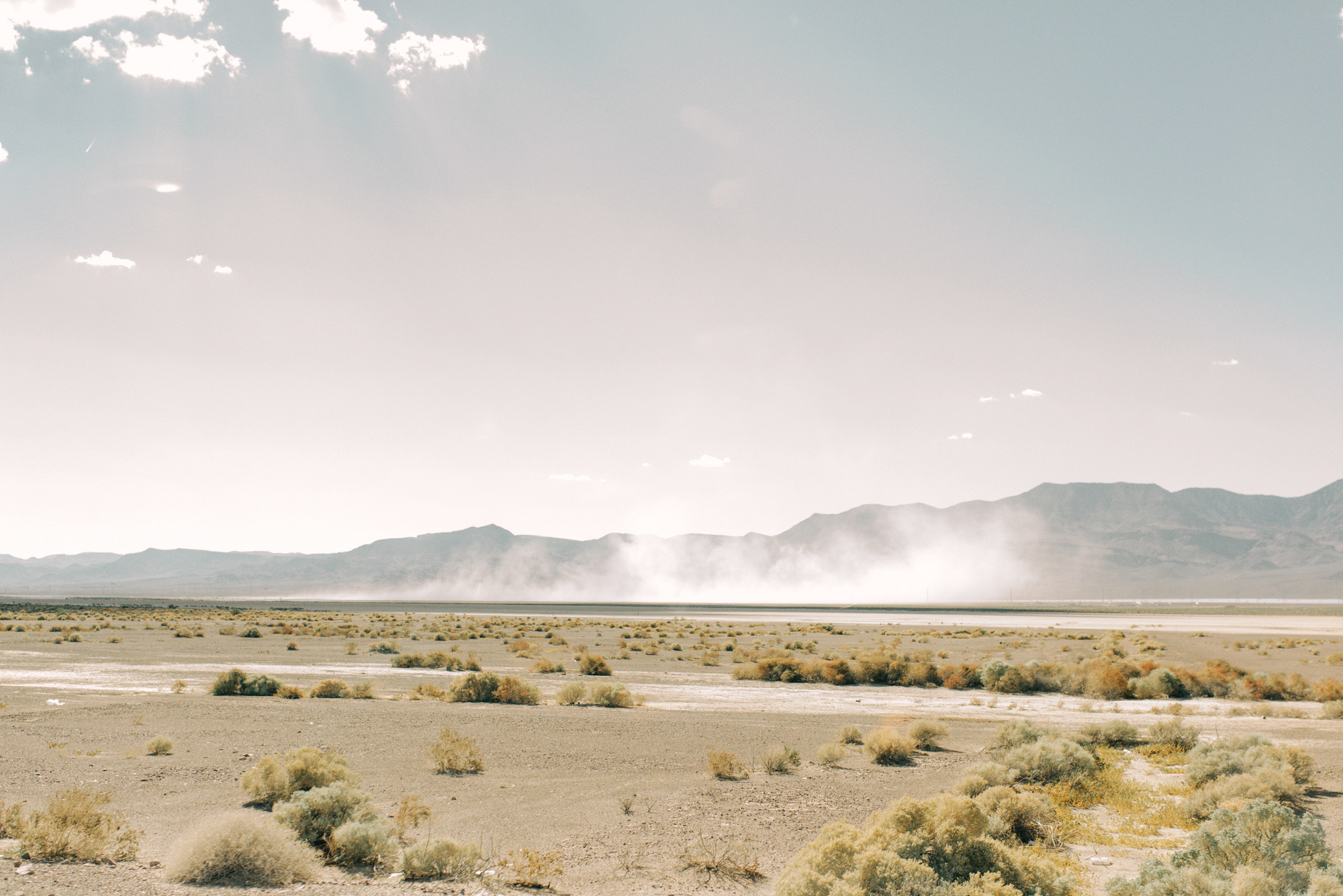 a desert with a few bushes and mountains in the background