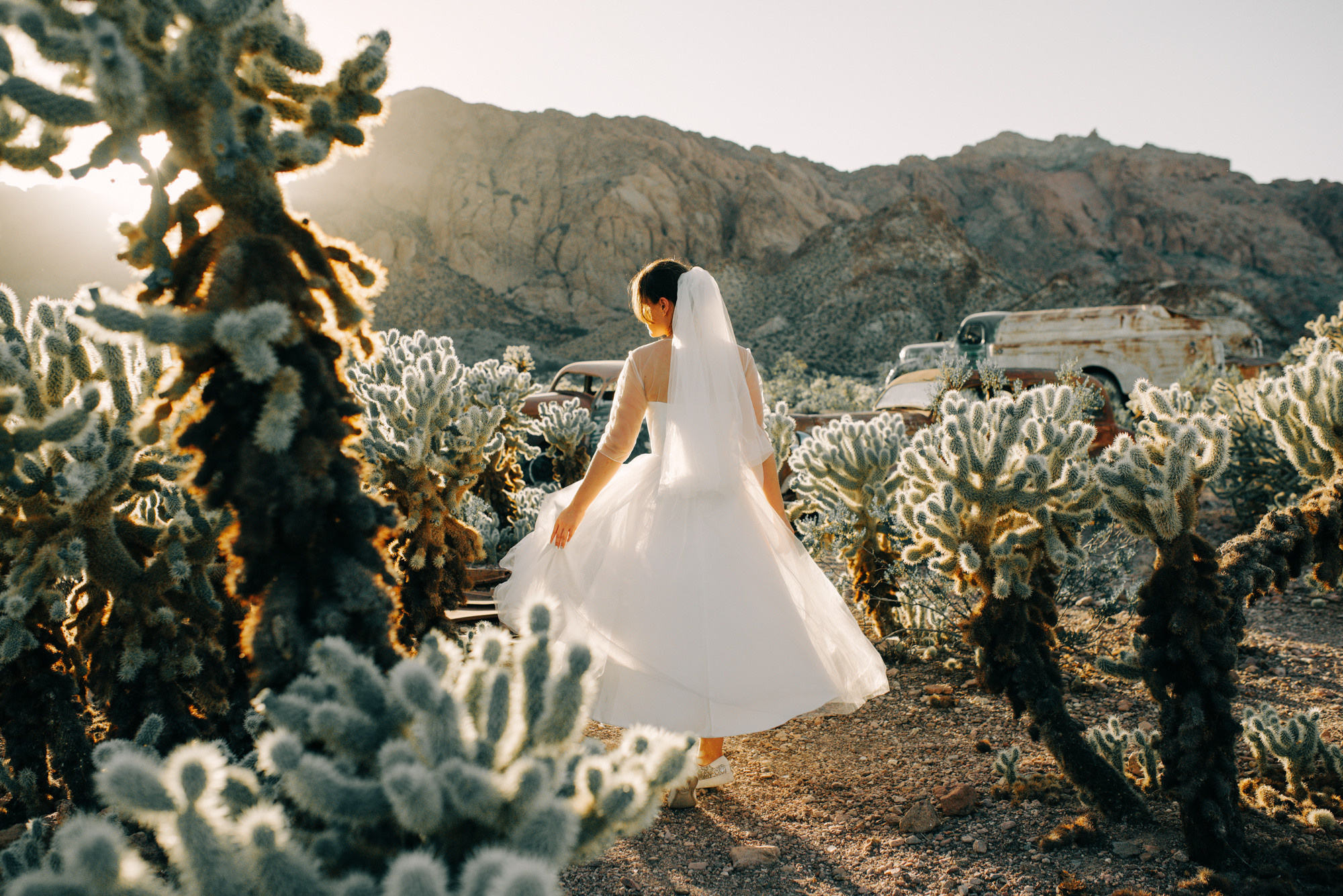 a bride in a white dress walking through a cactus field