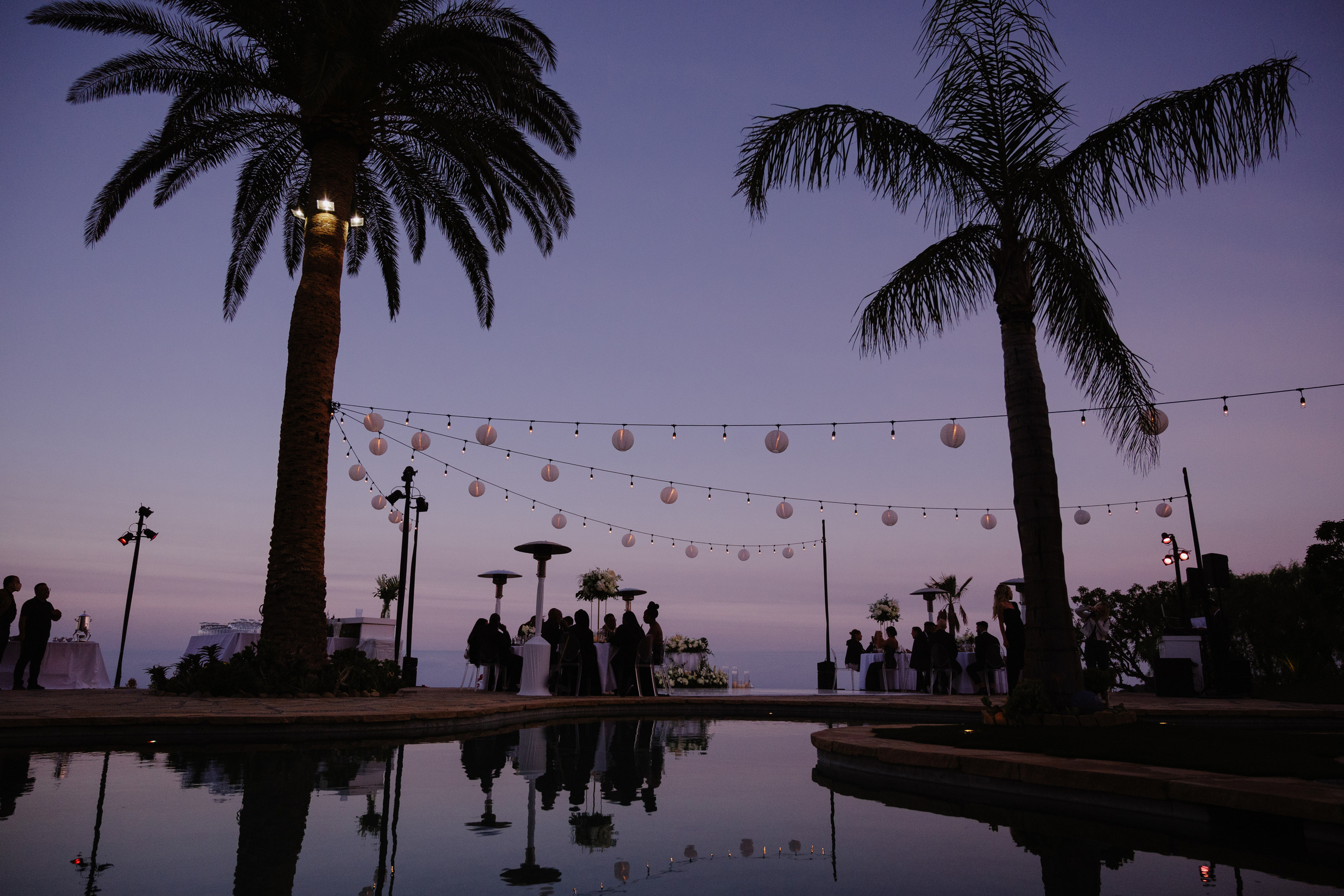 a couple standing next to a pool with palm trees